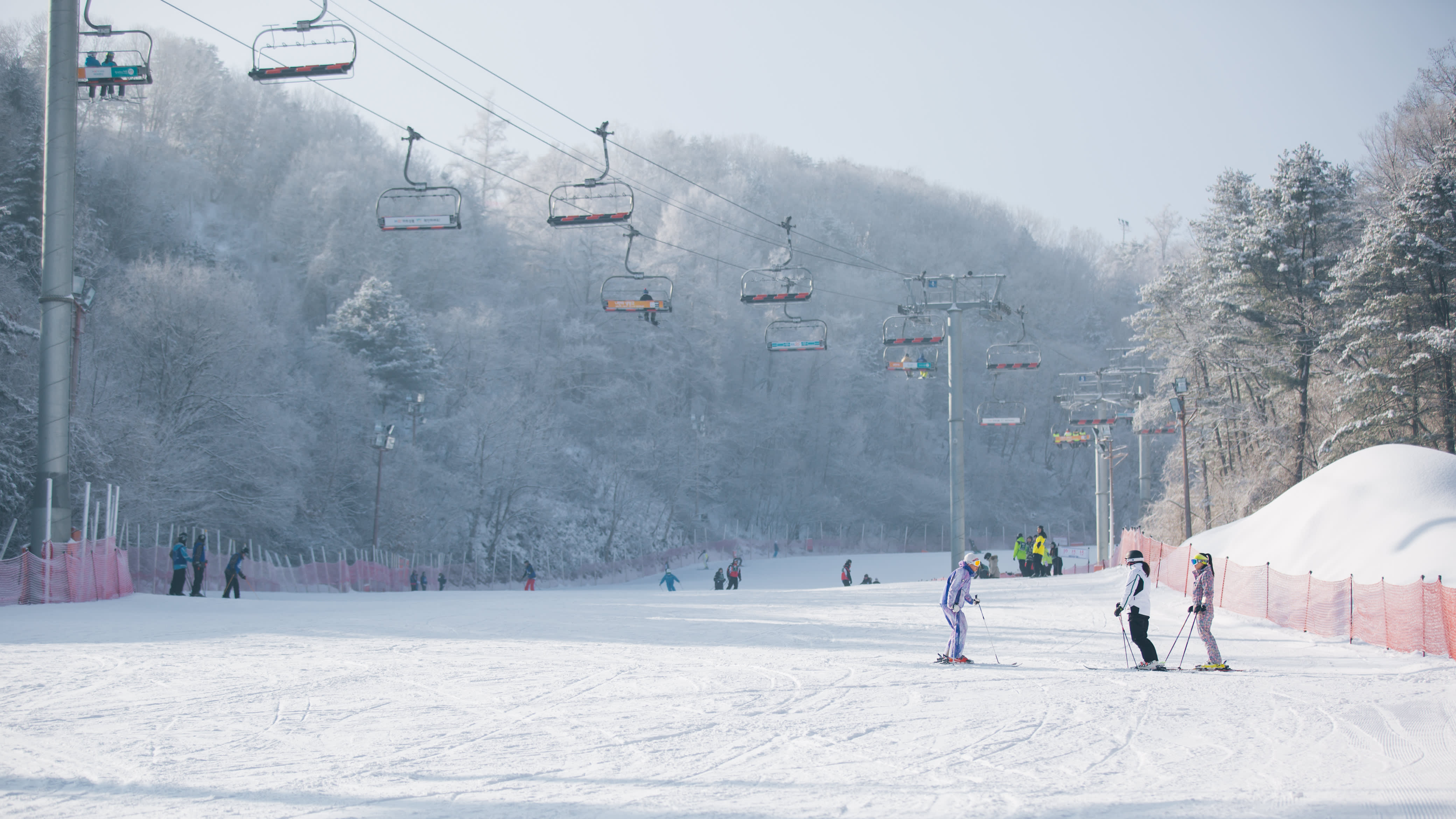 [From Seoul] Nami Island & Elysian Gangchon Winter Ski Day Tour
