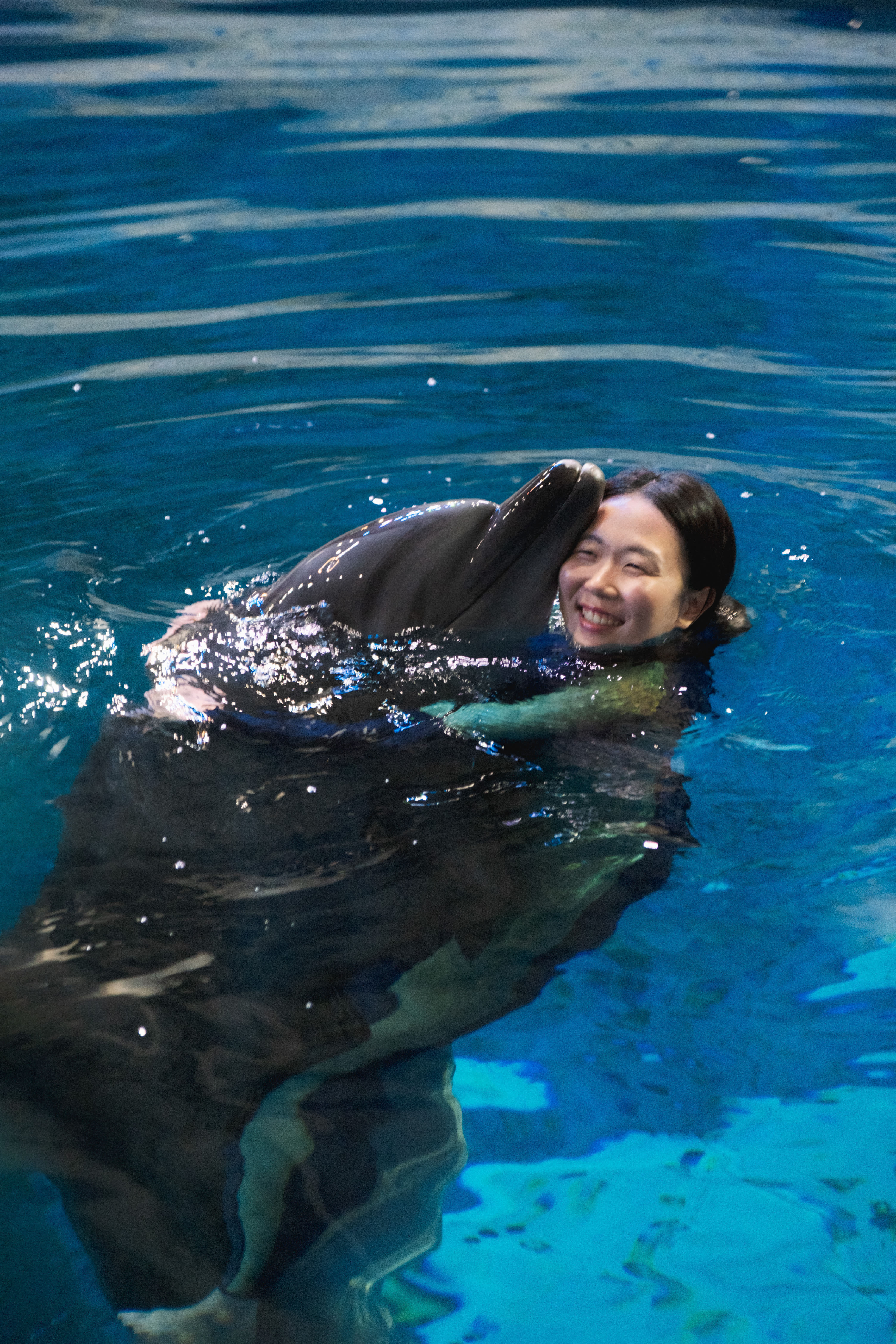 [Jeju] Aqua Planet Discount Ticket (Foreigner Only)