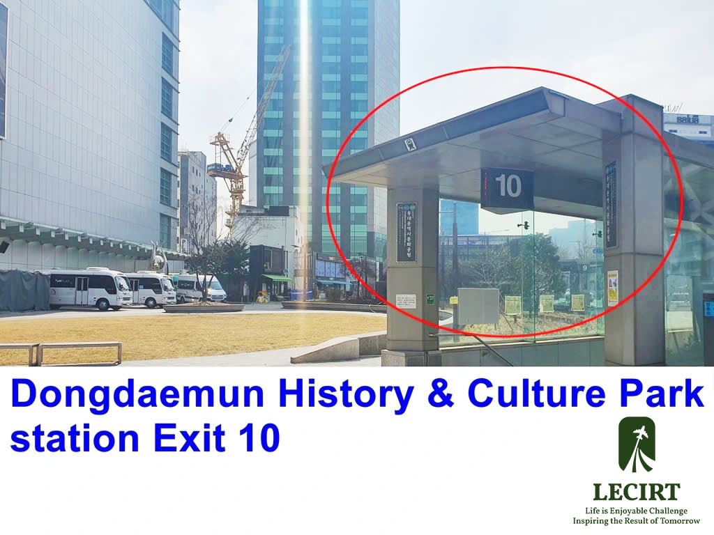 首尔出发一日游：鱼飞冰谷・南怡岛・晨静树木园灯光庆典