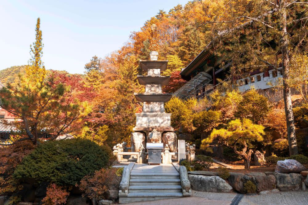 [忠清道] 救仁寺＋温達洞窟＋島潭三峰 1日ツアー
