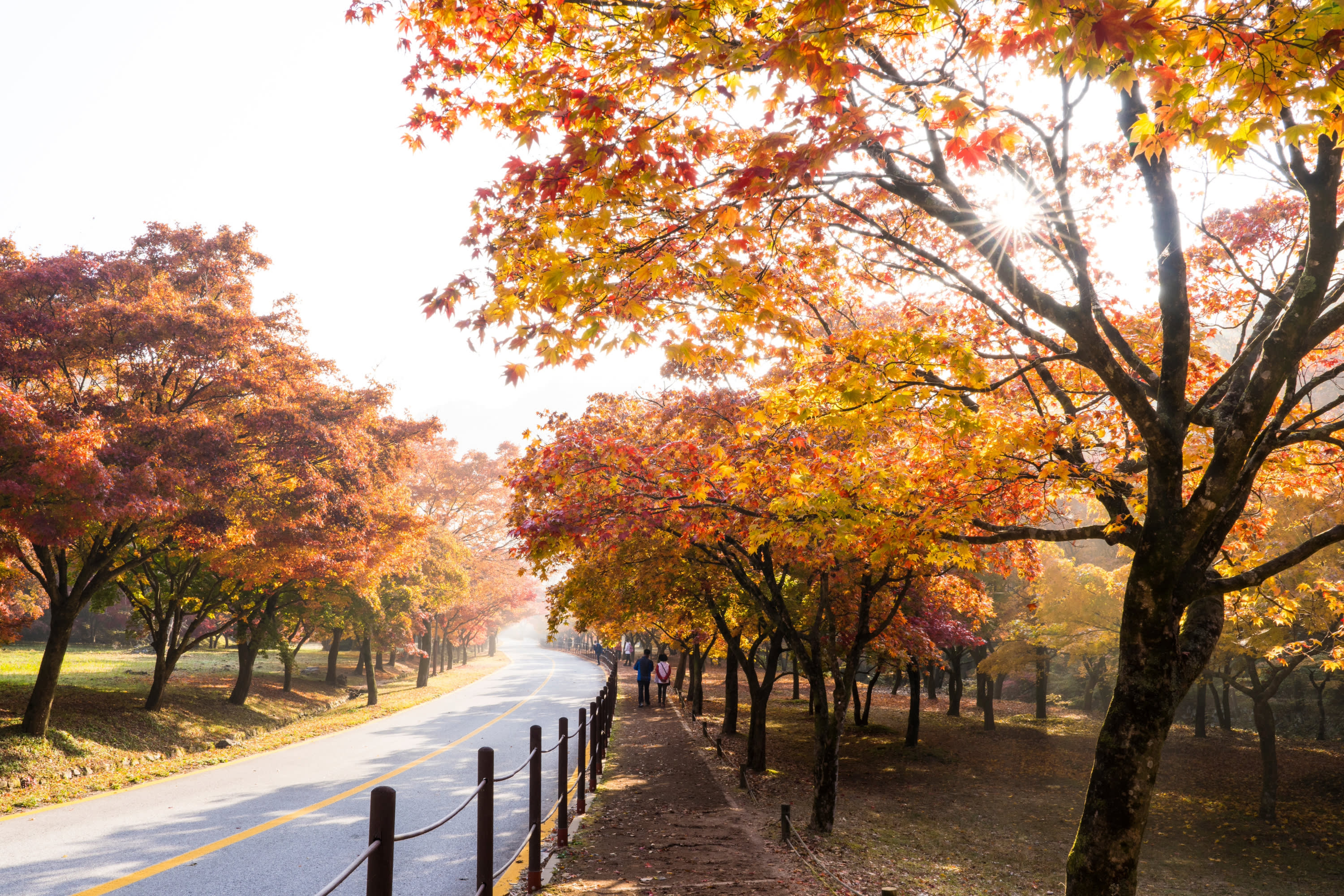 [首尔出发] 内藏山国家公园赏枫一日游
