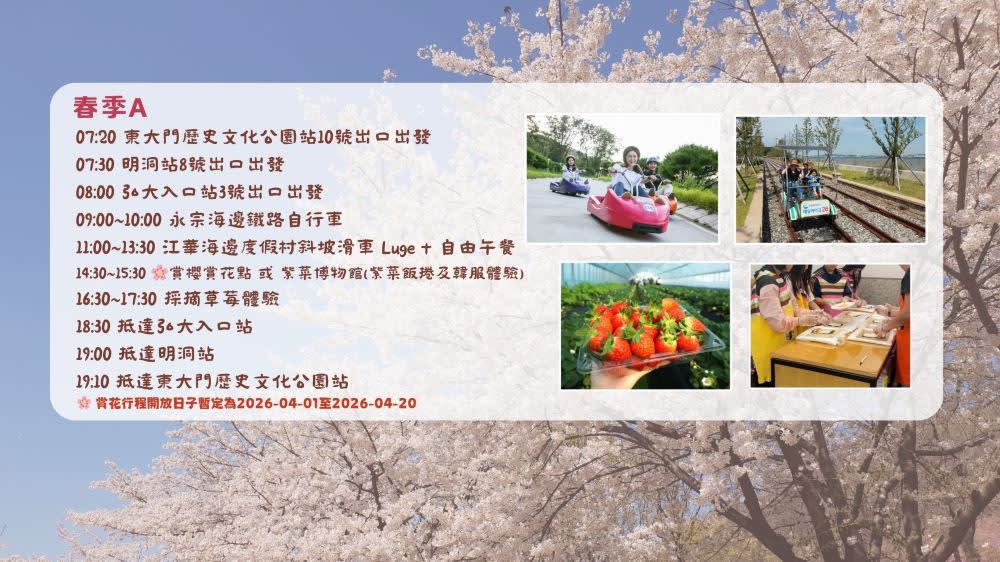 [ソウル発] 仁川 春限定 ワンデー桜＆フラワー観賞ツアー