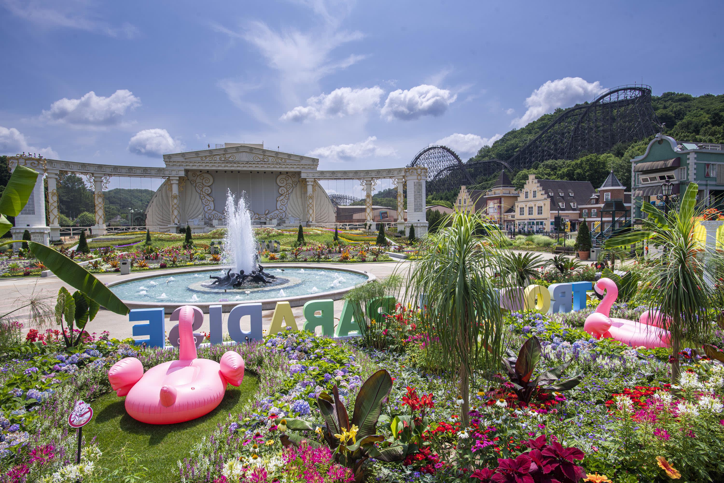 [Seoul] EVERLAND Ticket 1 Day Pass & Ticket Package
