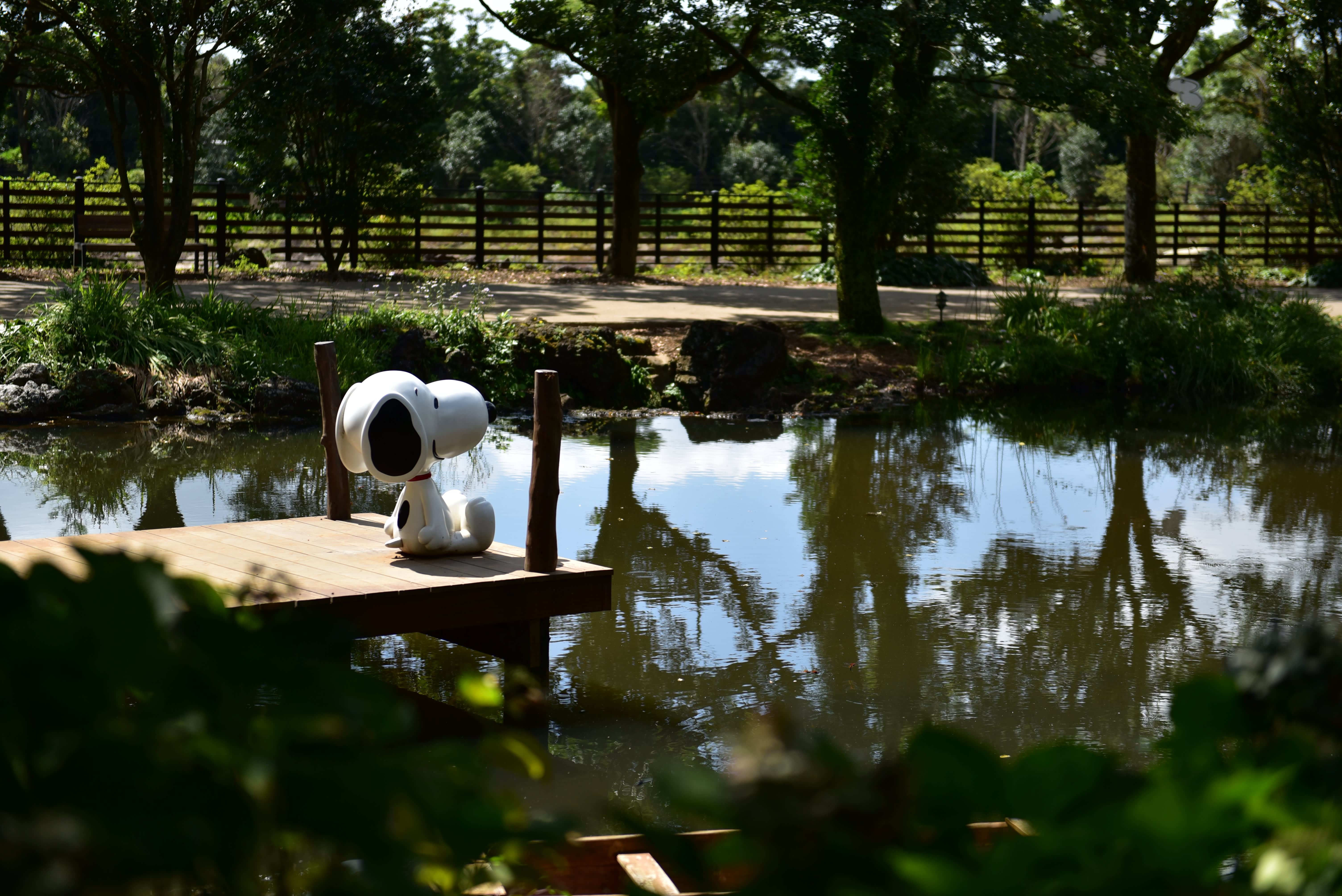 [济州] 史努比花园门票