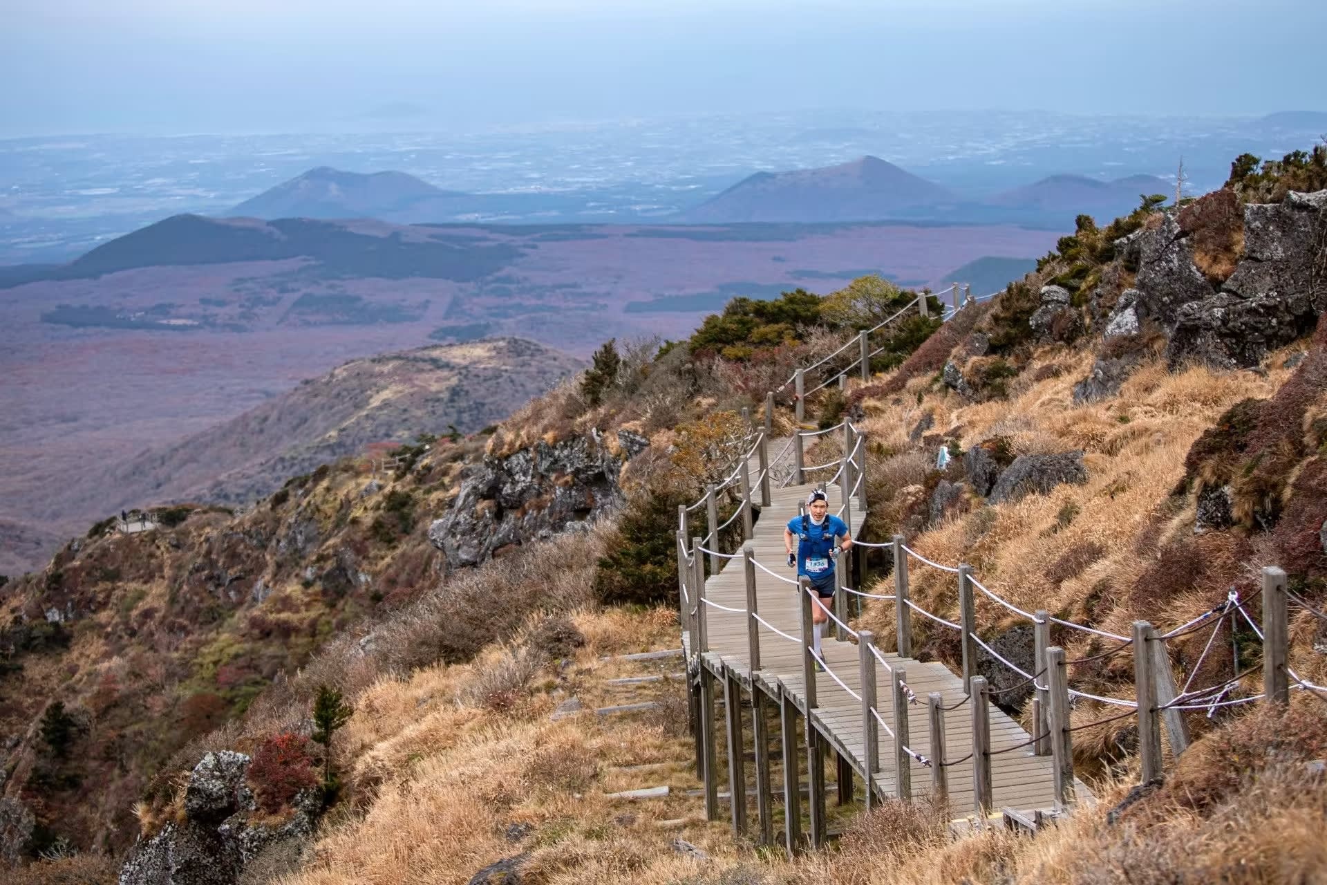 [Play & Stay] トレイルランニング - TransJeju by UTMB