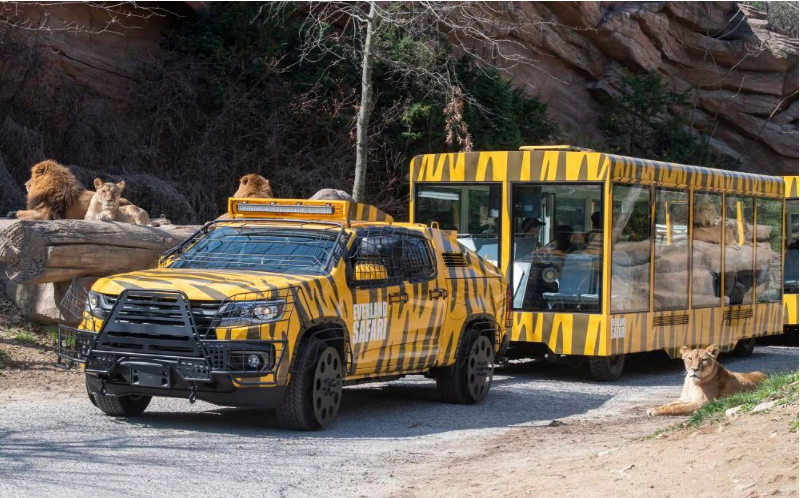 [ソウル] EVERLAND 1日パス＆チケットパッケージ