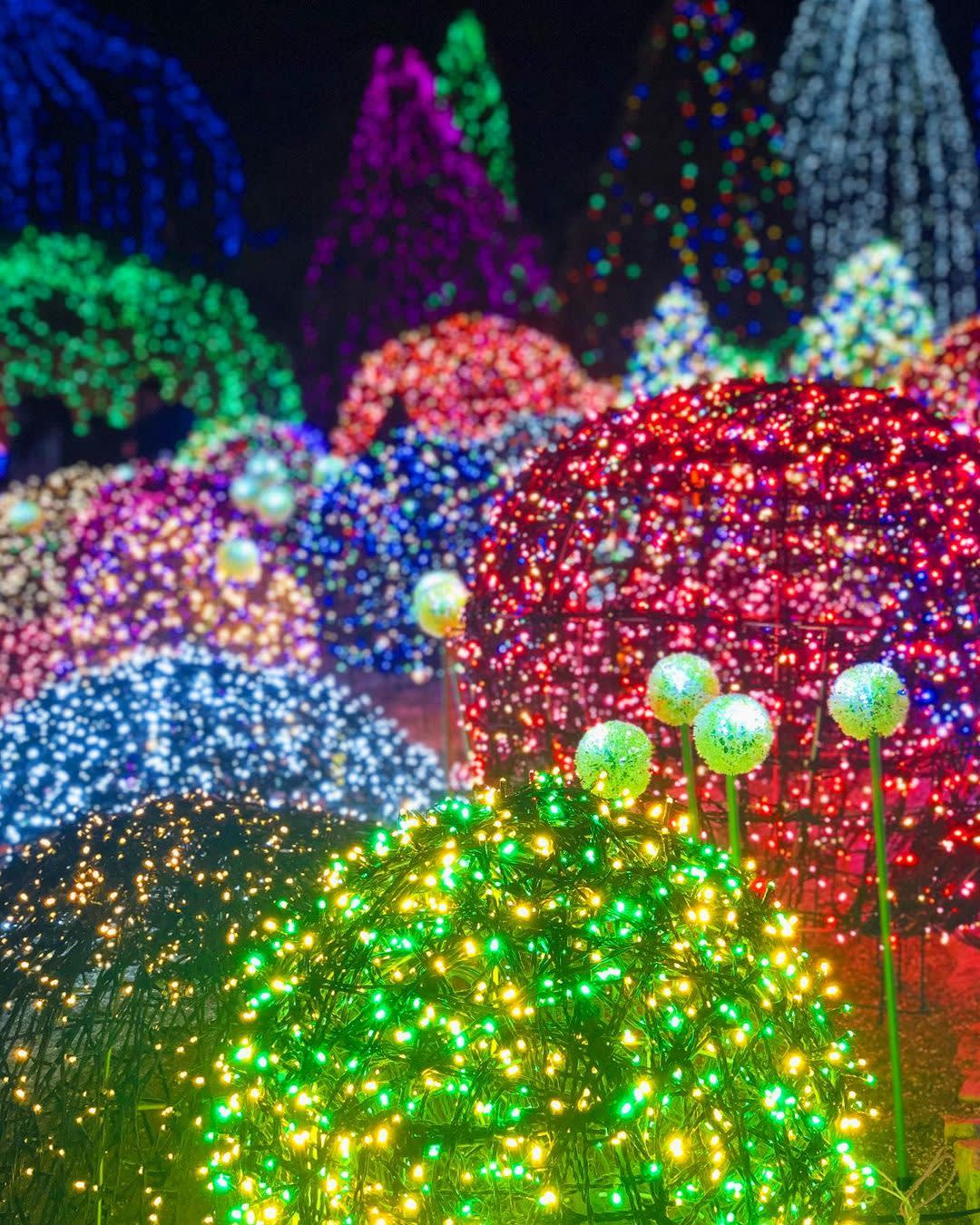 首尔出发一日游：鱼飞冰谷・南怡岛・晨静树木园灯光庆典