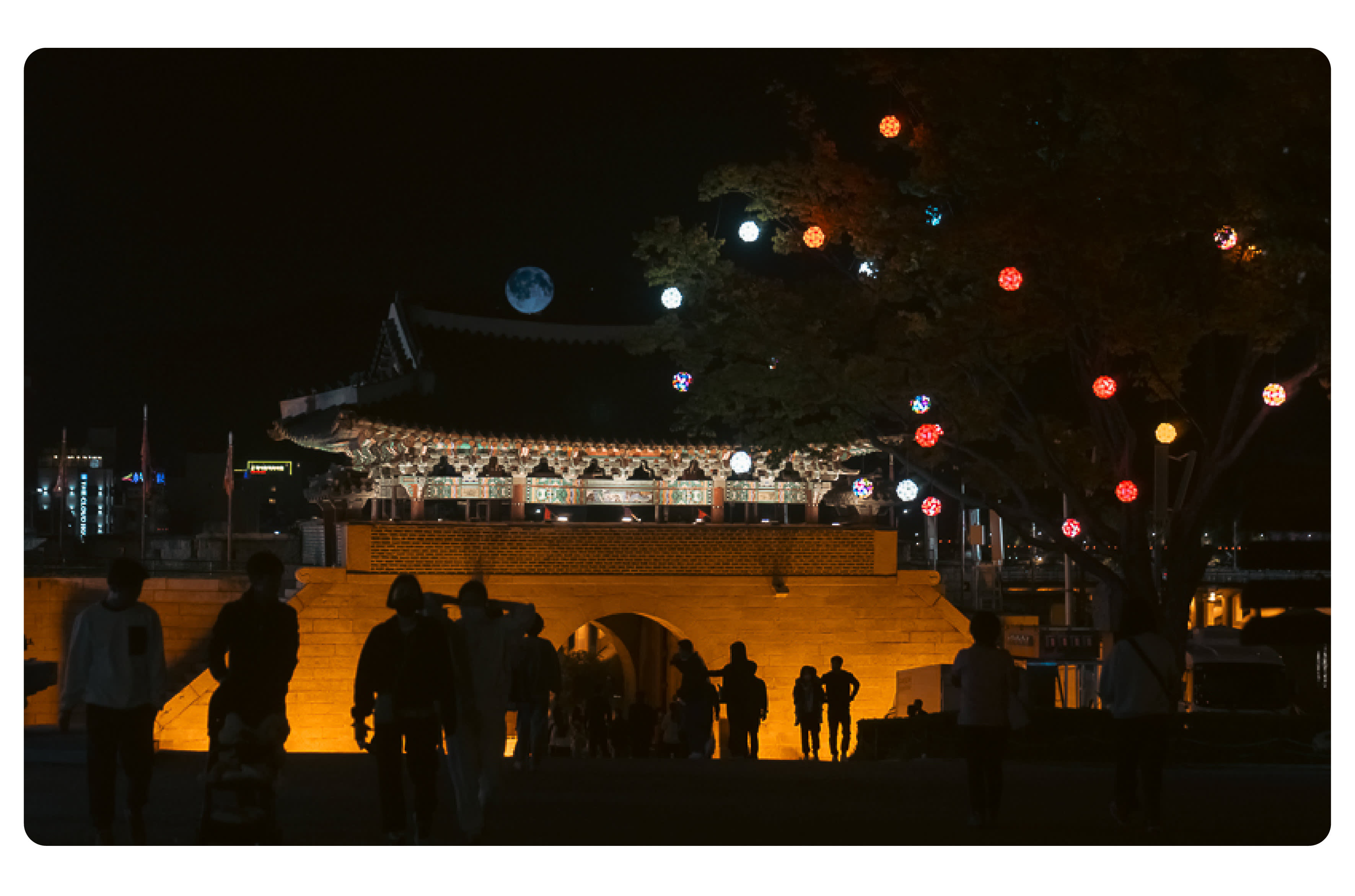 [From Busan] 2026 Jinju Lantern Festival & Pink Muhly Day Tour