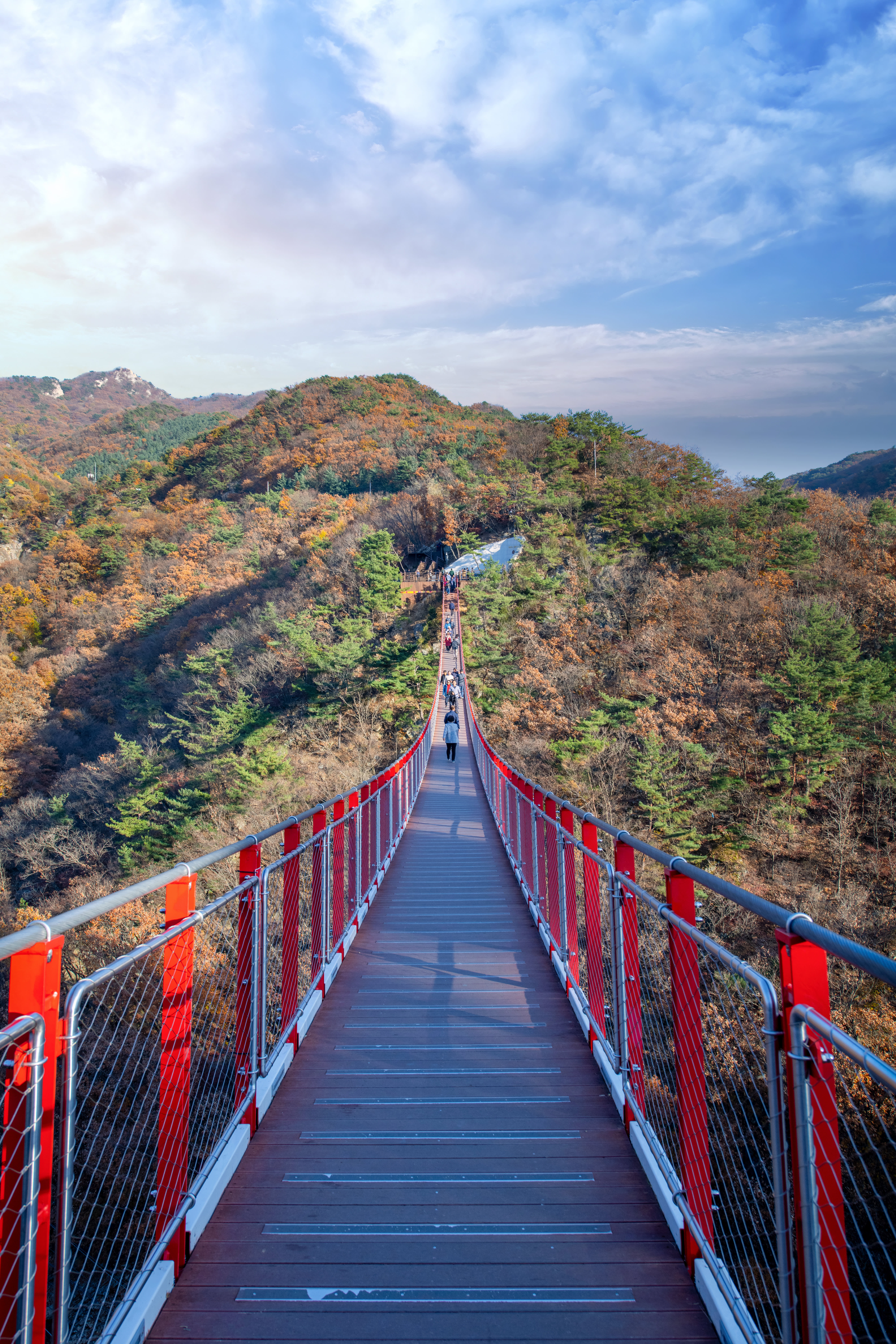 DMZ Tour & Mt. Gamak Red Suspension Bridge from Seoul