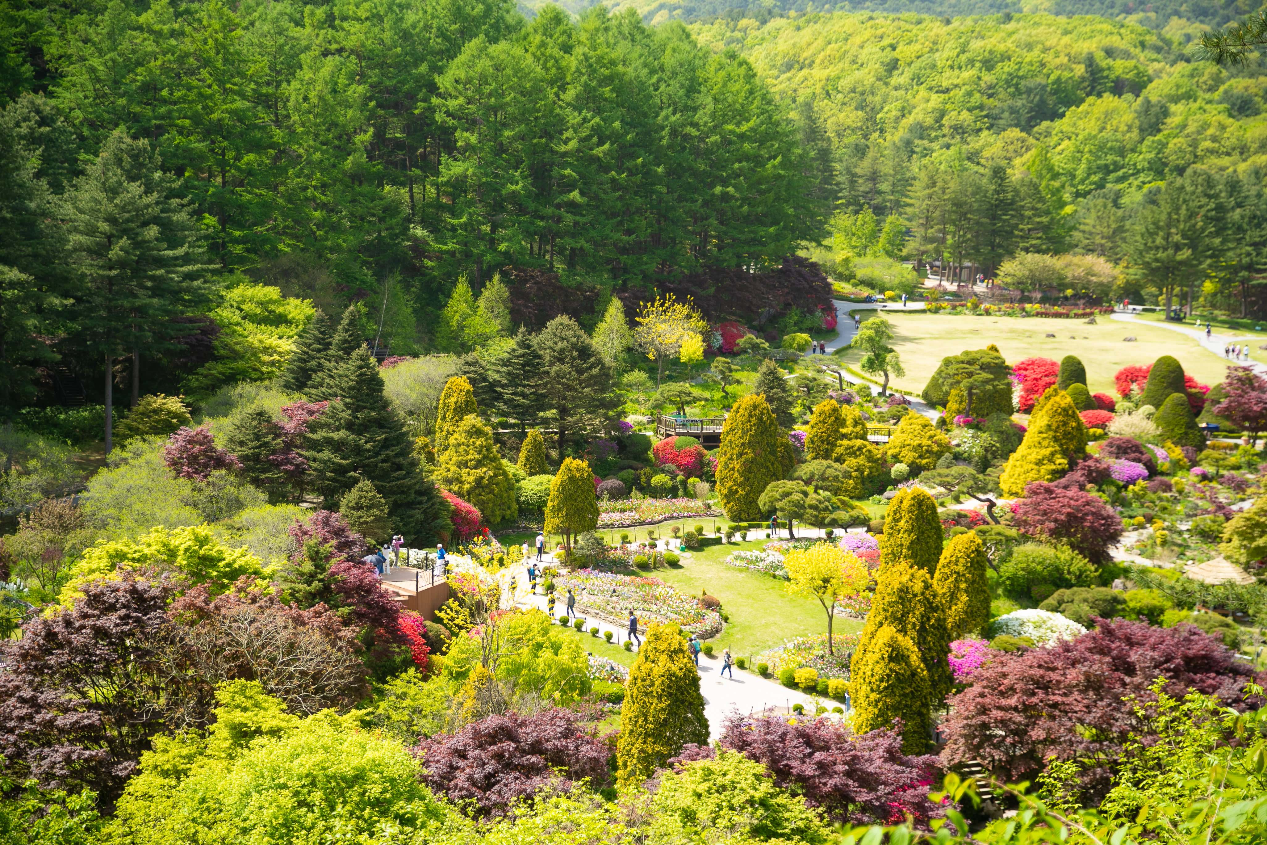 Alpaca World + Nami Island + Garden of Morning Calm