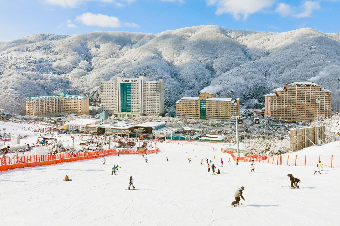 [从首尔出发] 南怡岛+洪川大明SONO VIVALDI PARK滑雪场（双板滑雪）一日游