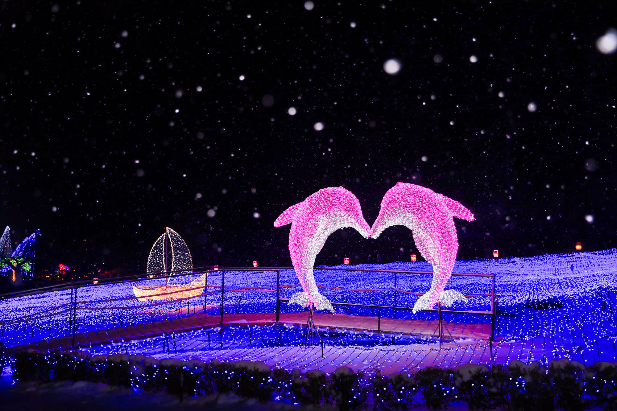 草泥马乐园 & 晨静树木园(夜灯)一日游