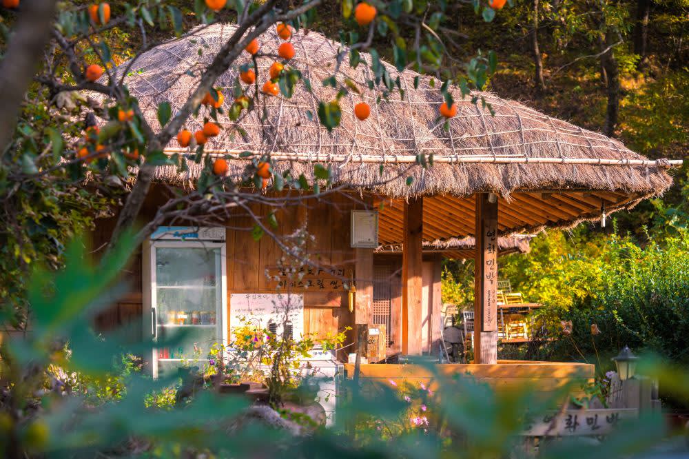 [从釜山出发] 庆州世界文化遗产一日游