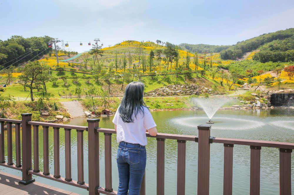 [From Seoul] Incheon Spring Limited One-Day Cherry Blossom & Flower Viewing Tour