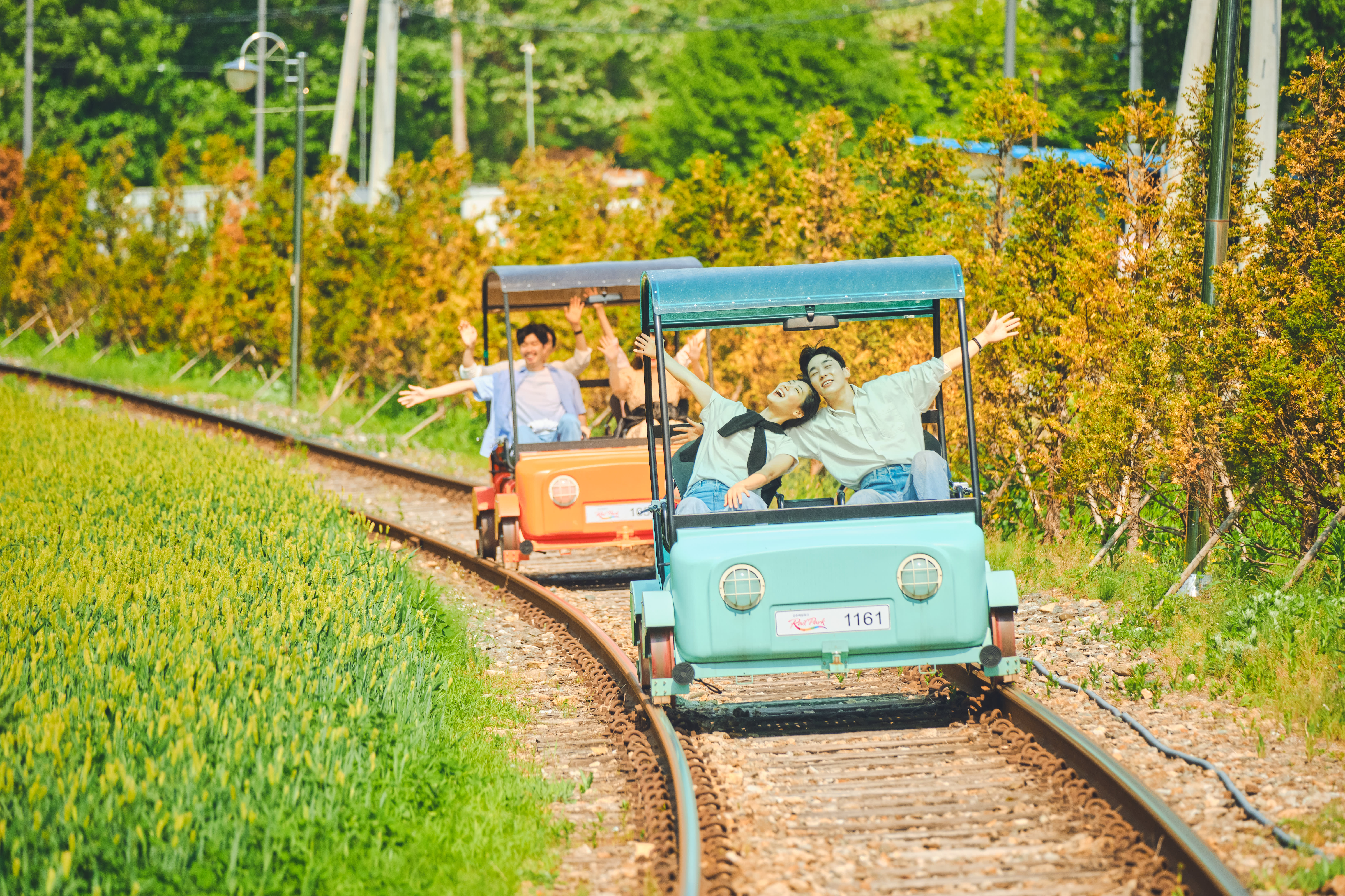 Nami Island + Gangchon Rail Bike + Garden of Morning Calm