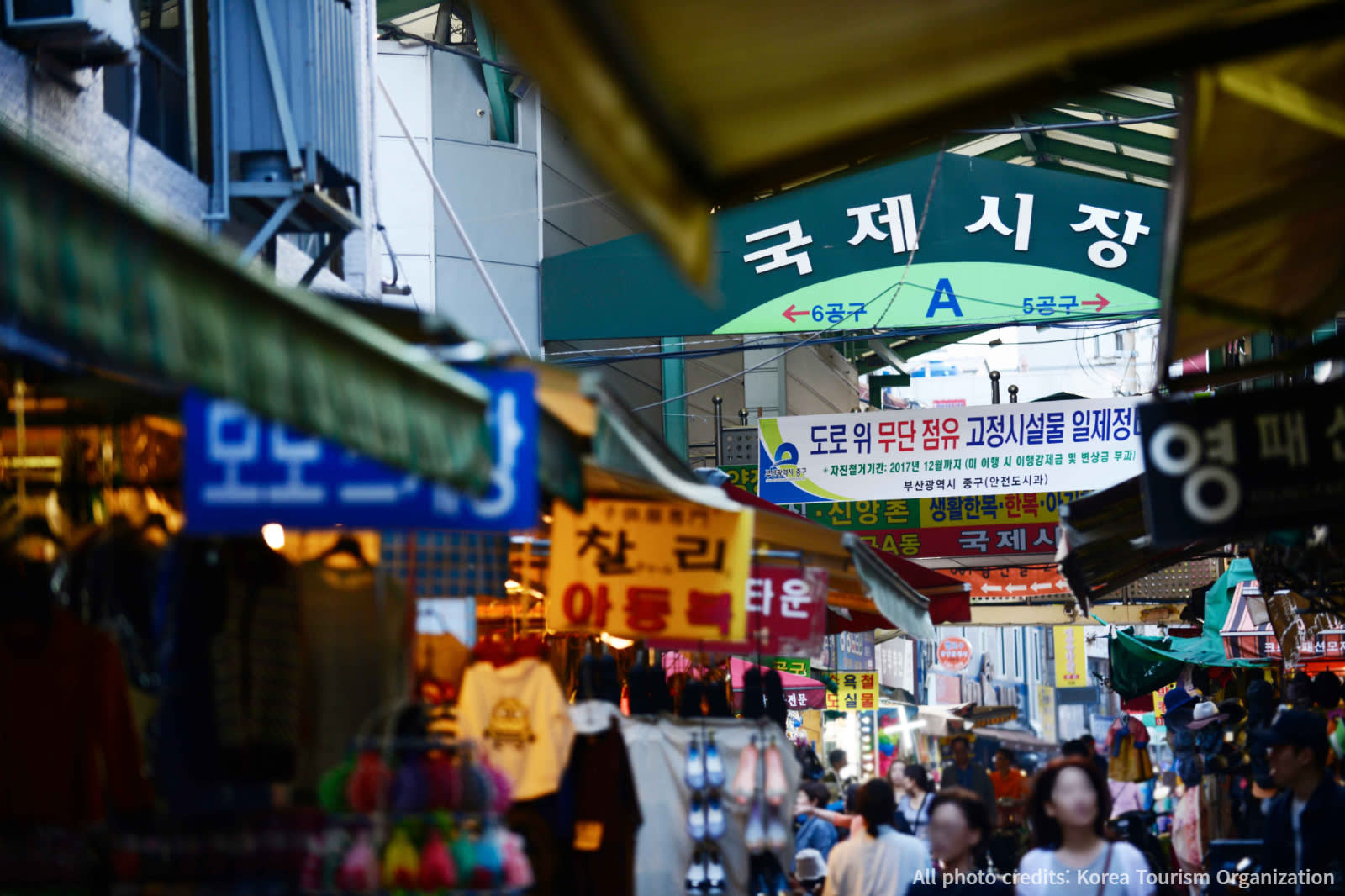 Busan Private Taxi Tour (5,9 hour)