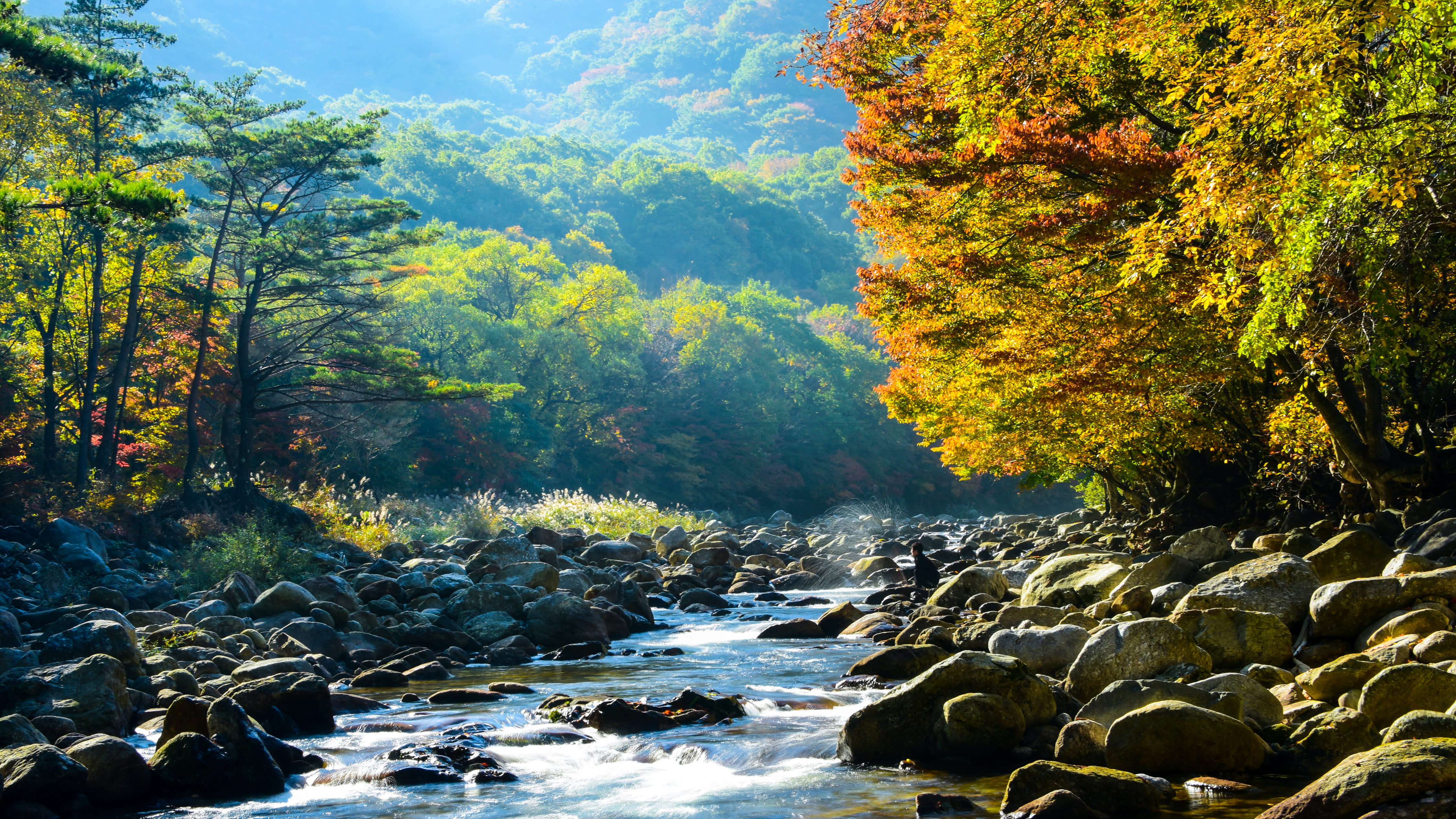 【釜山発】智異山紅葉観賞｜Baemsagol渓谷・泉隠寺日帰りツアー