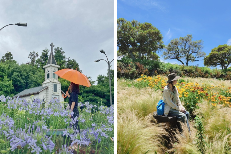 [Jeju] East Jeju Premium Limousine Bus Tour