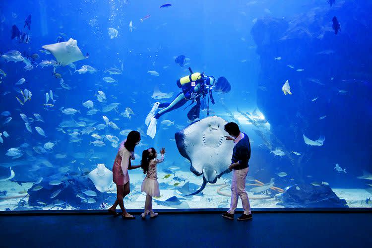 [Ilsan] Aqua planet Discount Ticket (Foreigner Only)