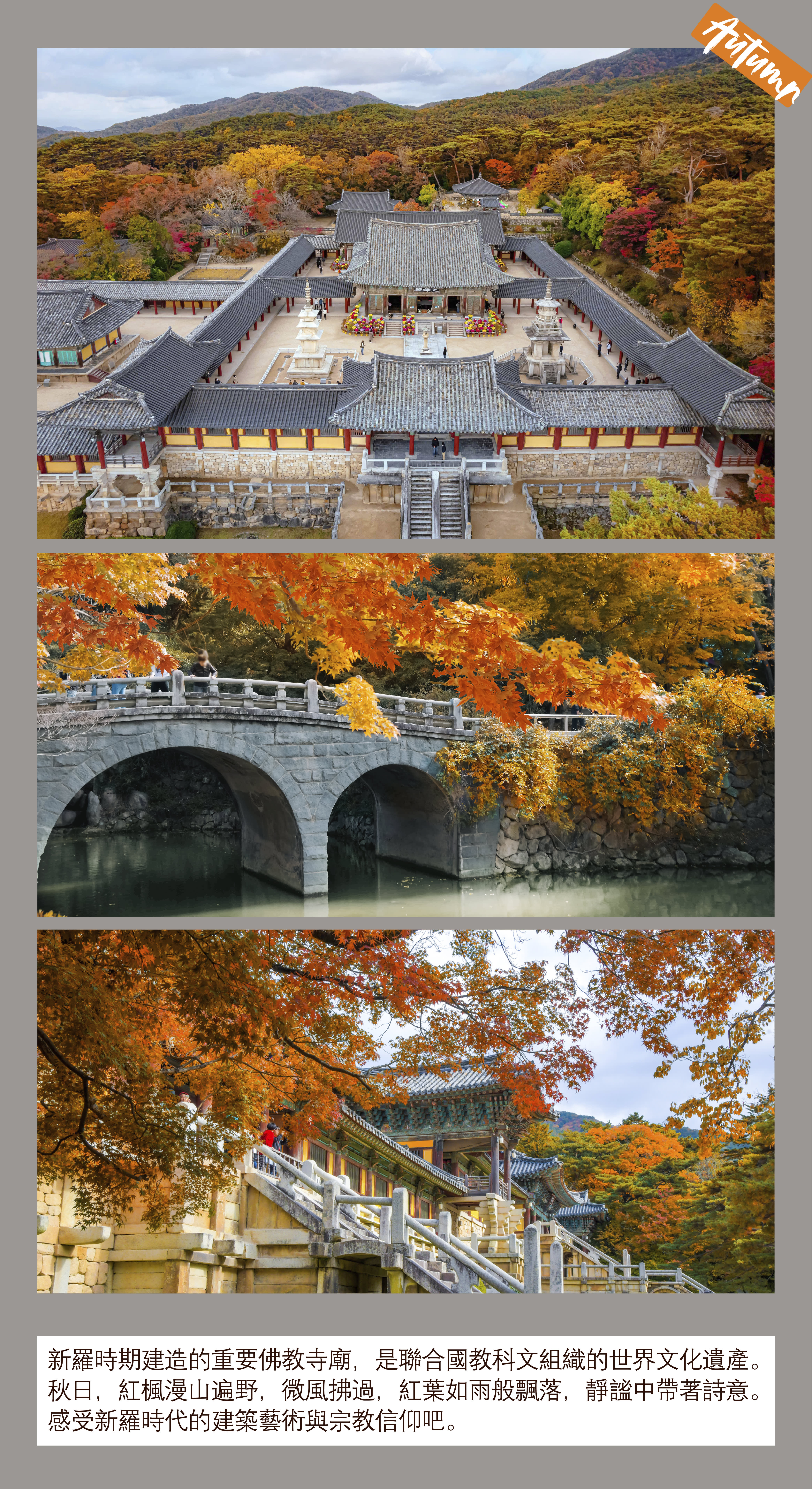 釜山出发庆州一日游：韩国古都