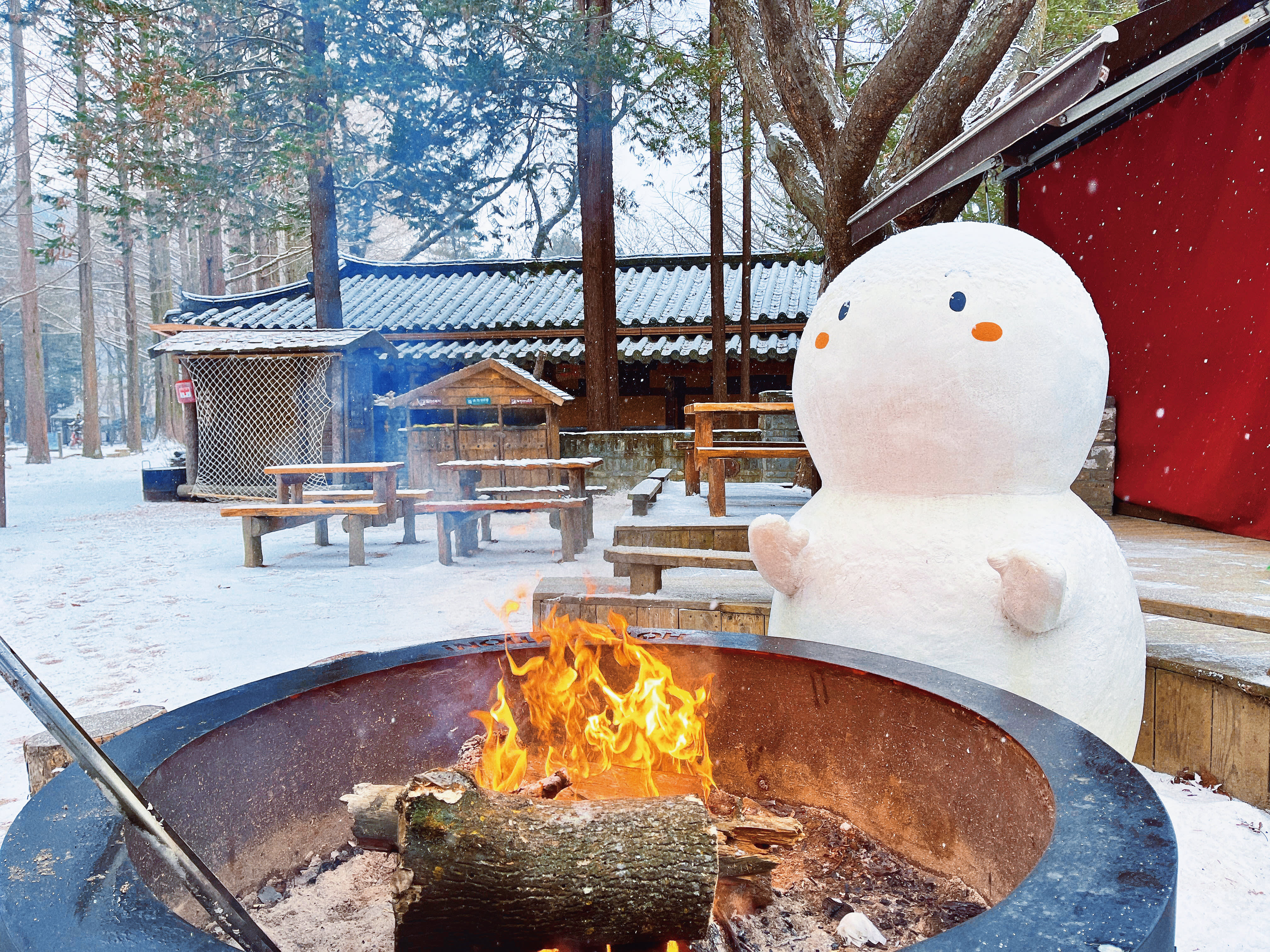 [From Seoul] Nami Island & Elysian Gangchon Winter Ski Day Tour