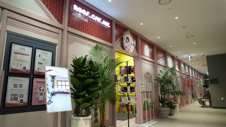 [弘大] ROOF CAT ME 猫咪咖啡店 弘大店 平日优惠入场券