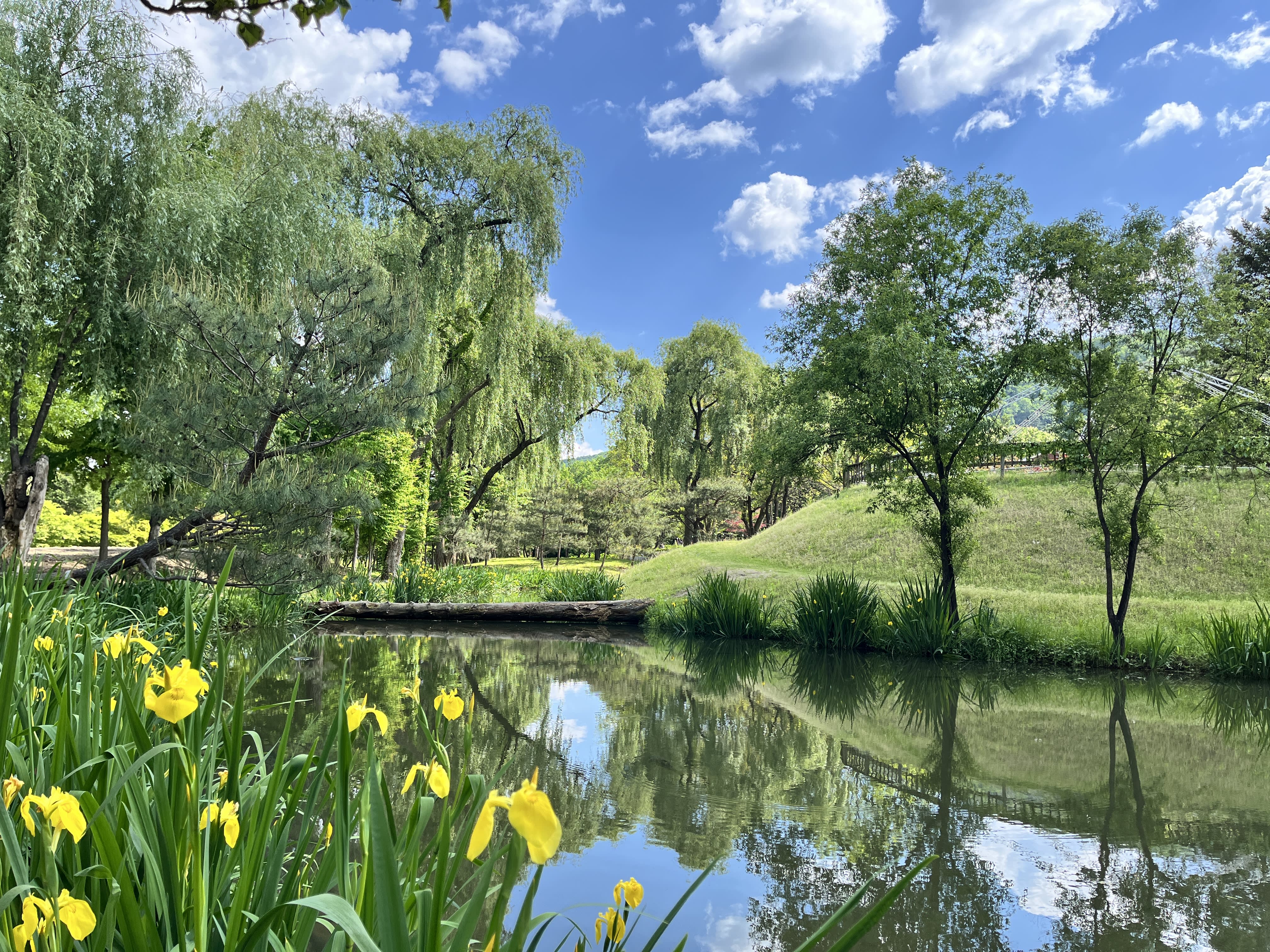 [春川] 南怡岛门票（含往返普通渡船票）