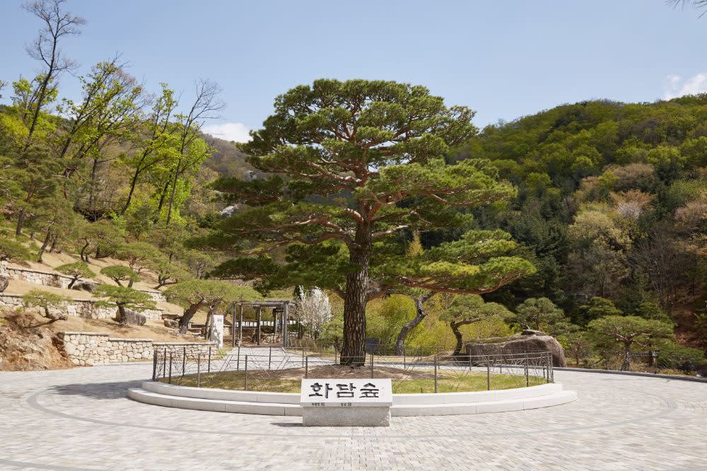 [ソウル発] 期間限定 秋の紅葉 華談の森 日帰りツアー