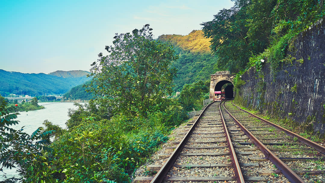 Alpaca World & Rail Bike & Chuncheon Ice Valley Waterfall Day Tour from Seoul