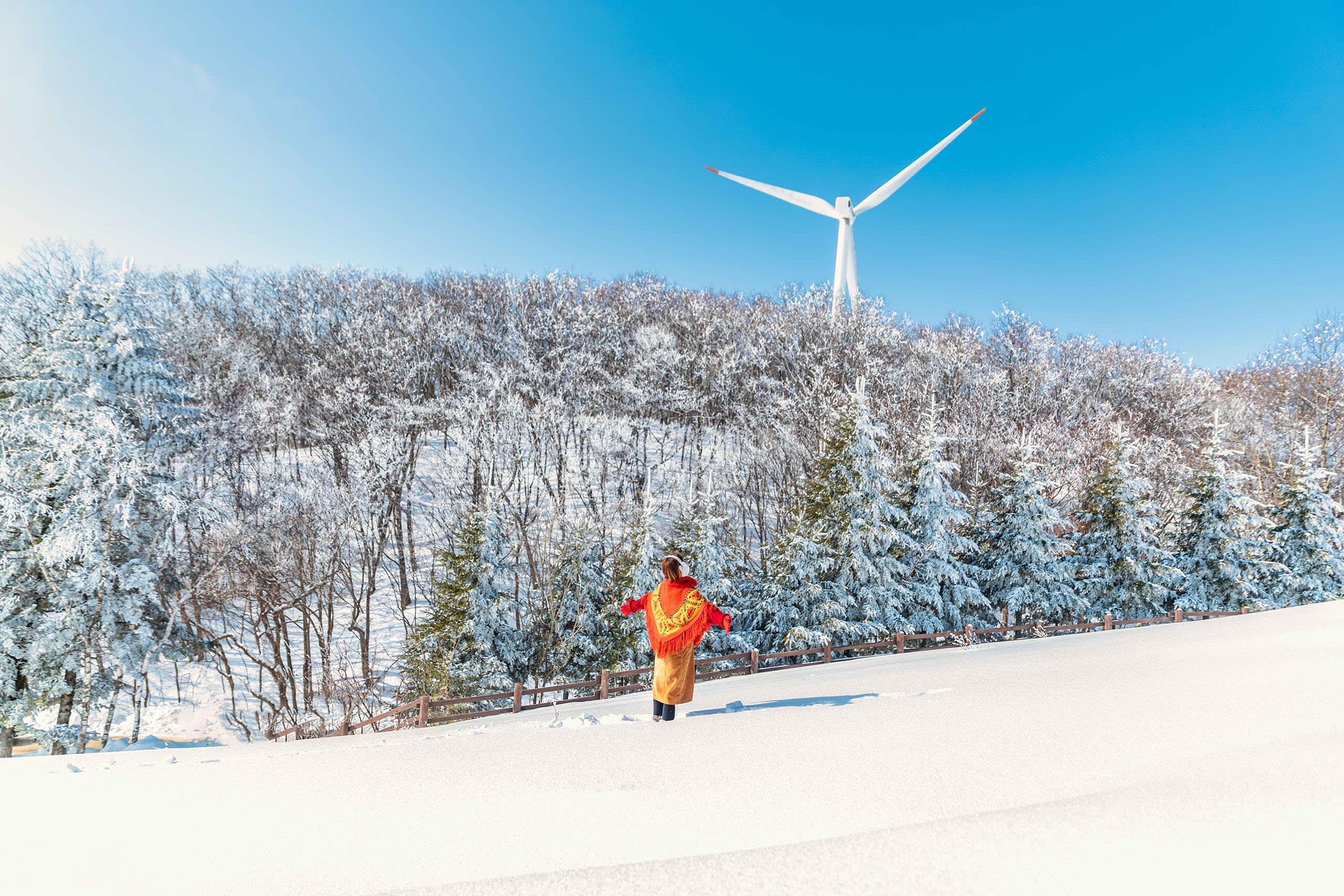 【季节限定】BTS 冬季精选一日游