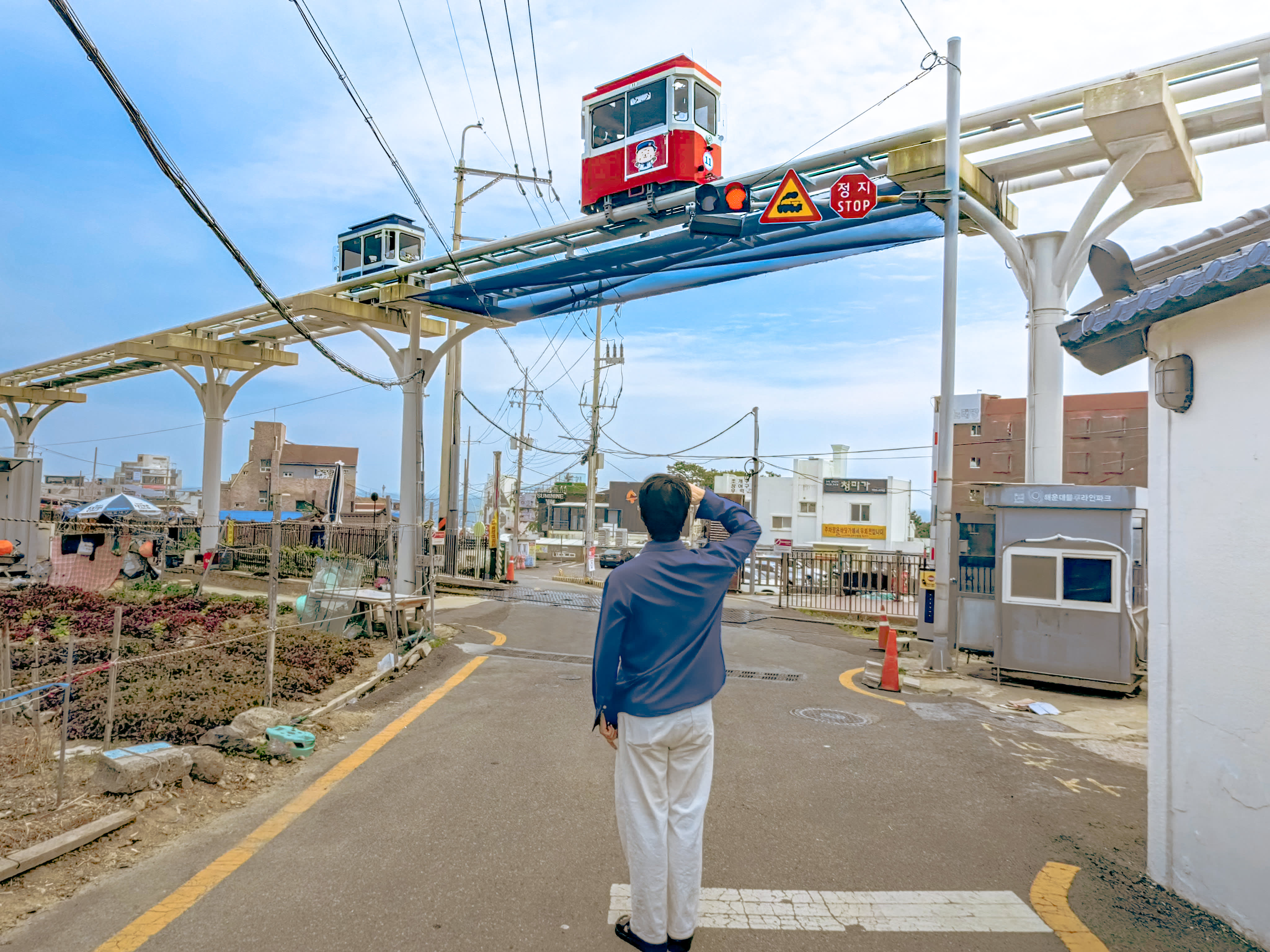 [Busan Essential] Coastal Views, Local Markets & Culture 1-Day Tour