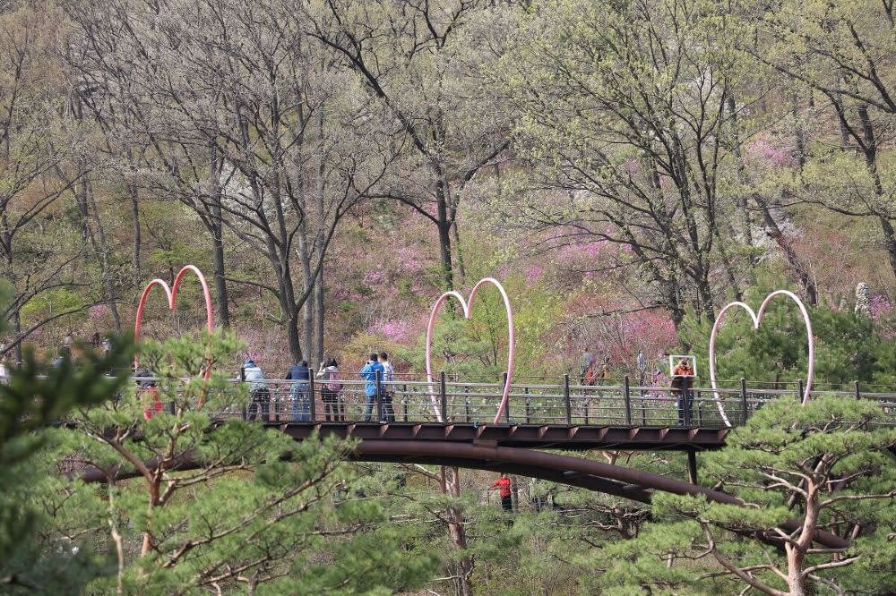 [ソウル発] 期間限定 秋の紅葉 華談の森 日帰りツアー