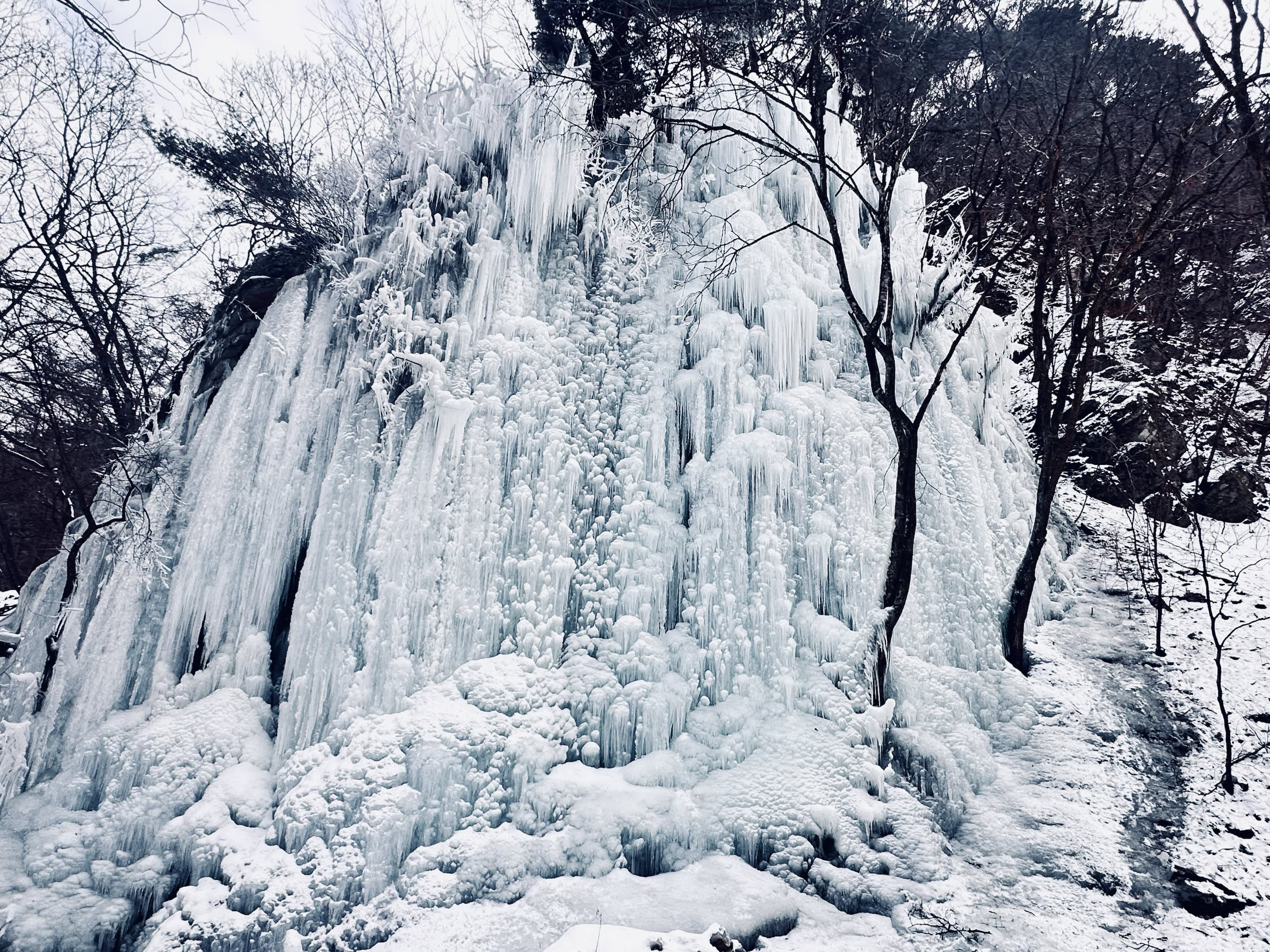 [From Seoul] Hwacheon Sancheoneo Ice Festival Day Tour 