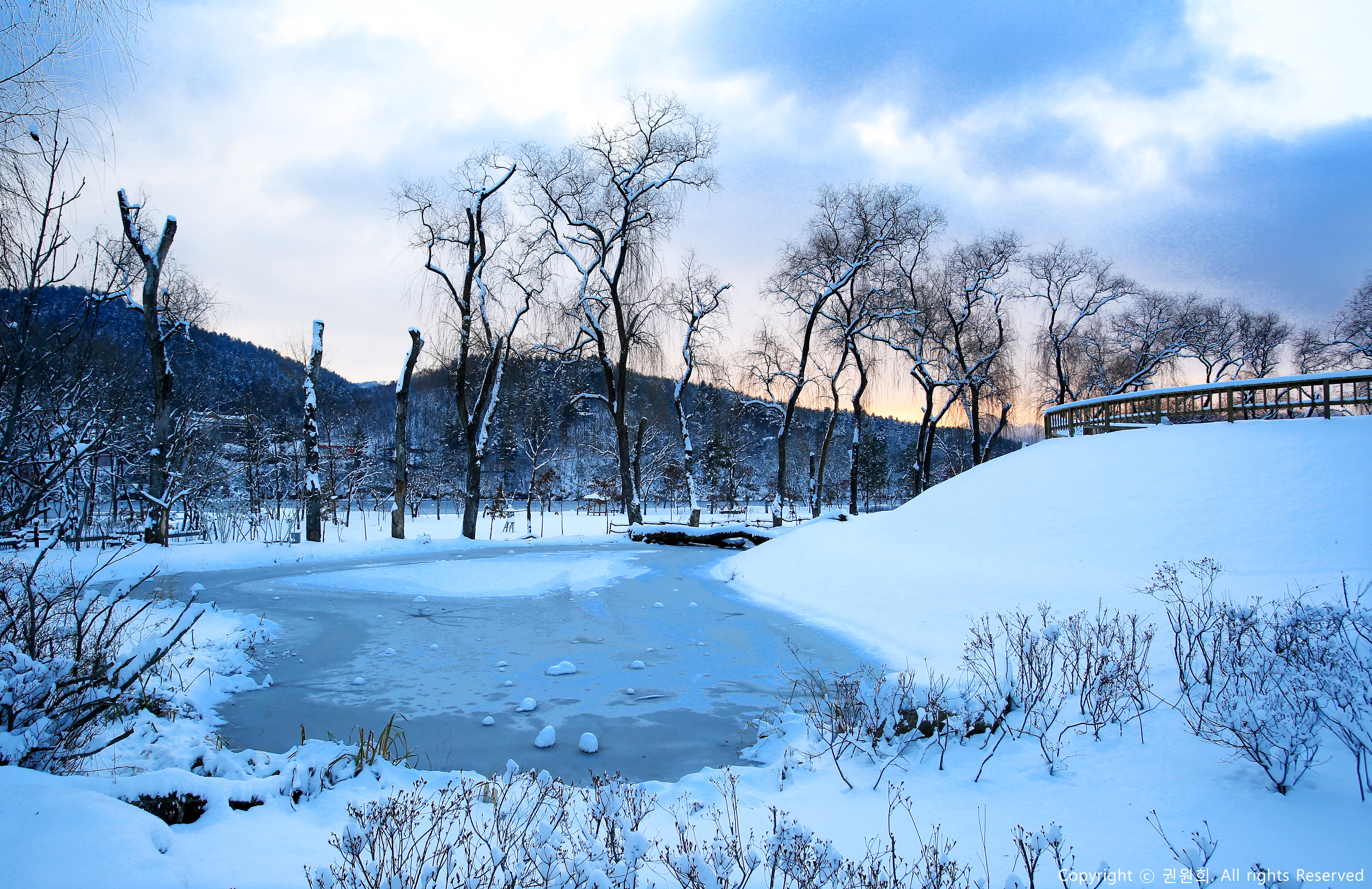 [From Seoul] Nami Island & Vivaldi Ski One Day Tour