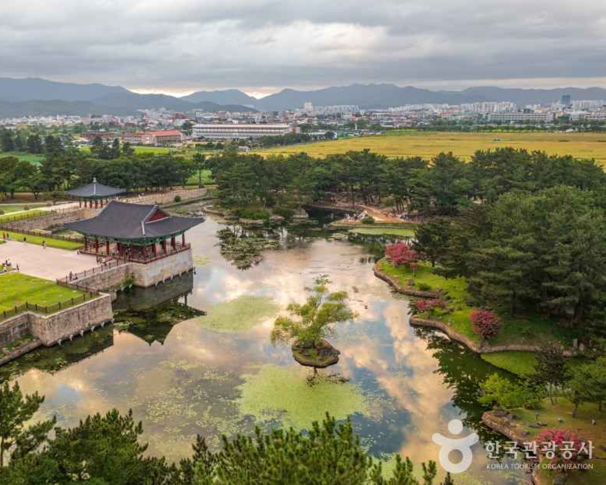 Gimhae Airport↔Gyeongju Shared Transfer Service
