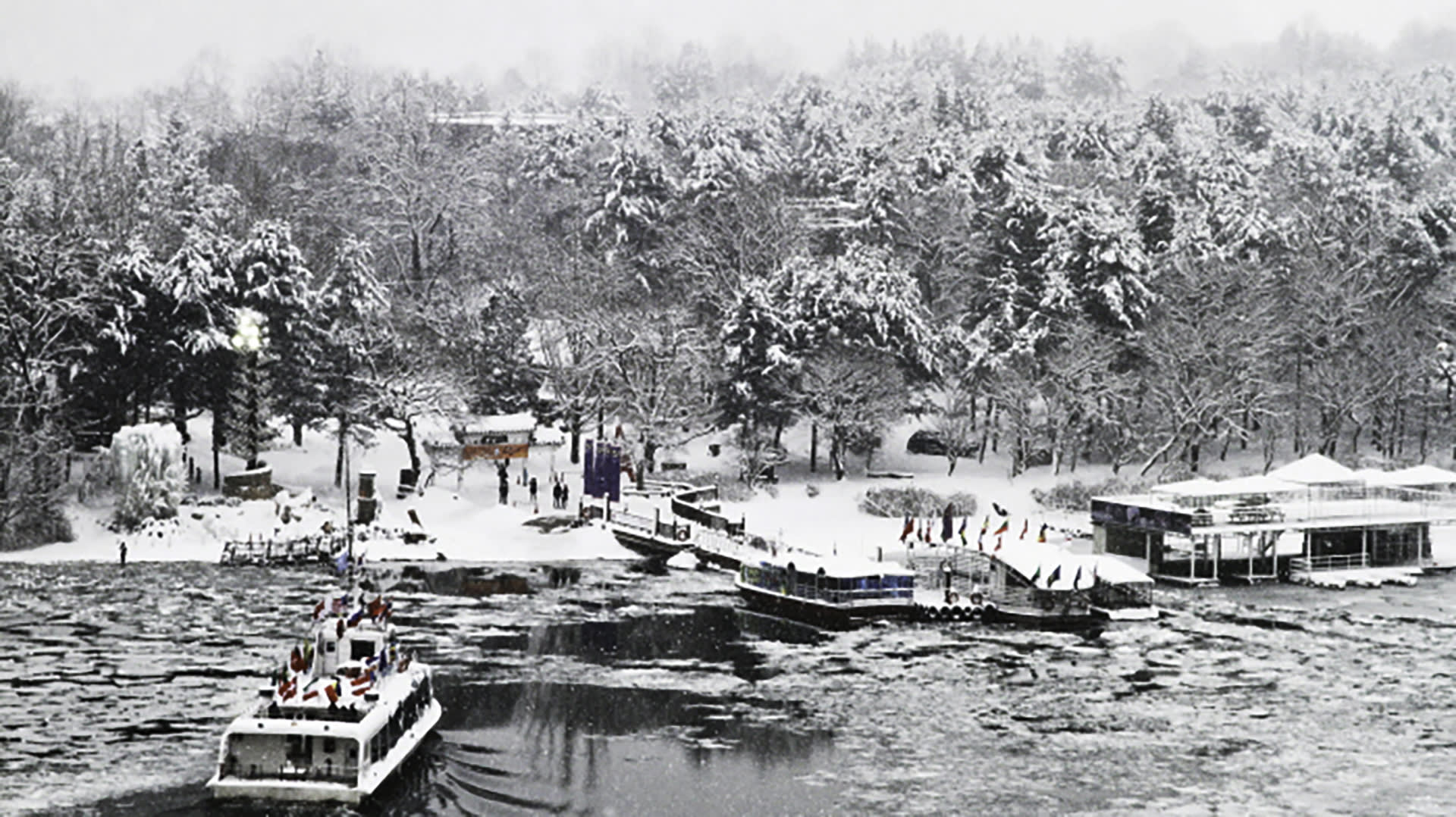 [从首尔出发] 南怡岛+洪川大明SONO VIVALDI PARK滑雪场（双板滑雪）一日游