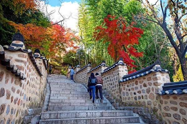 釜山グルメ「東莱ハルメパジョン」＆梵魚寺ツアー（午前／午後）