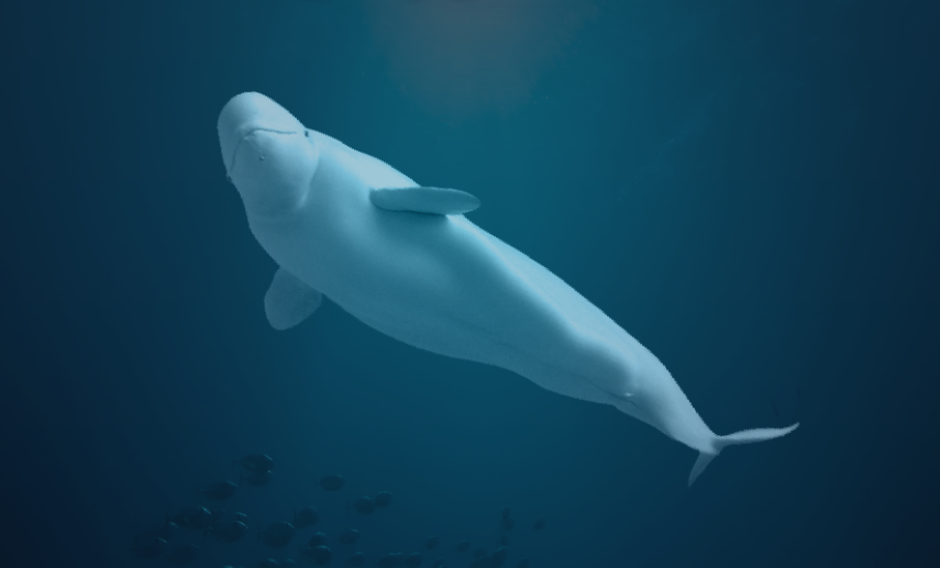[首尔]蚕室乐天世界水族馆优惠入场券