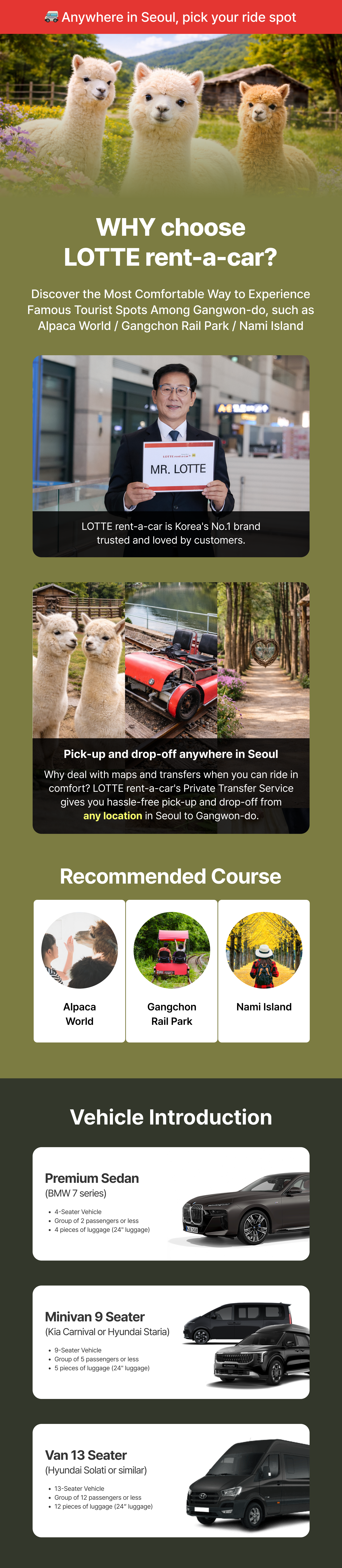 Best of Gangwon-do: Nami Island & Alpaca World Private Tour
