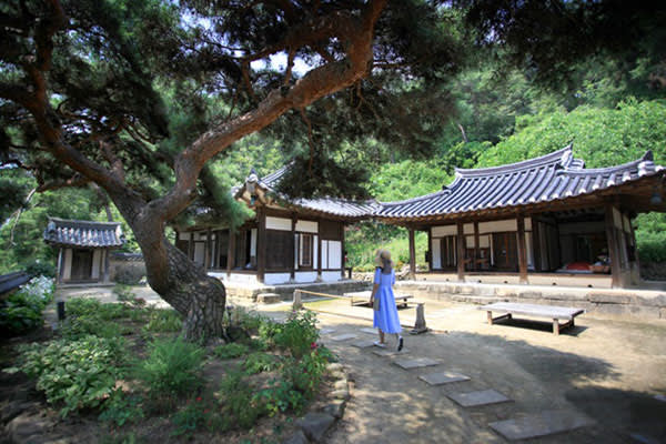 [ソウル発]世界遺産・安東「河回村」日帰り観光ツアー