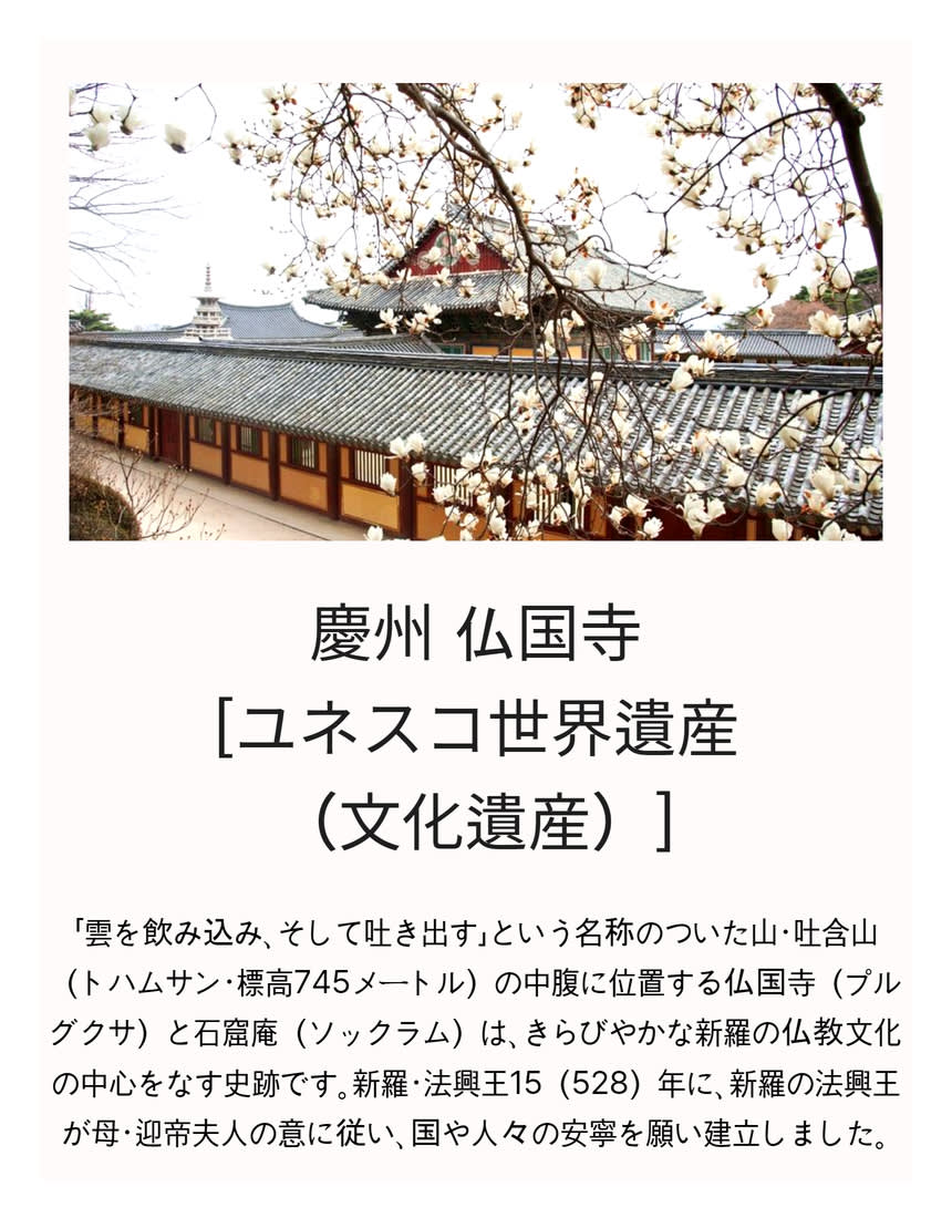 [汽車当日の旅行] 慶州へ行く春の花のお出かけ (大陵苑 春の花/ 仏国寺 桜)