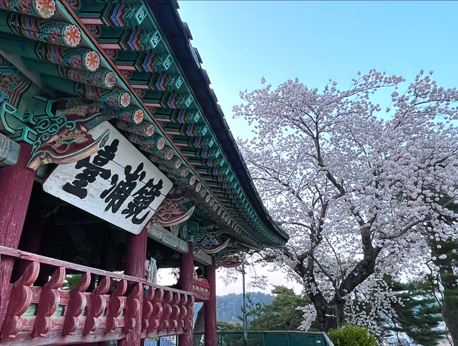 江原道（江陵・春川・束草）外国人観光タクシー｜3時間チャーターサービス