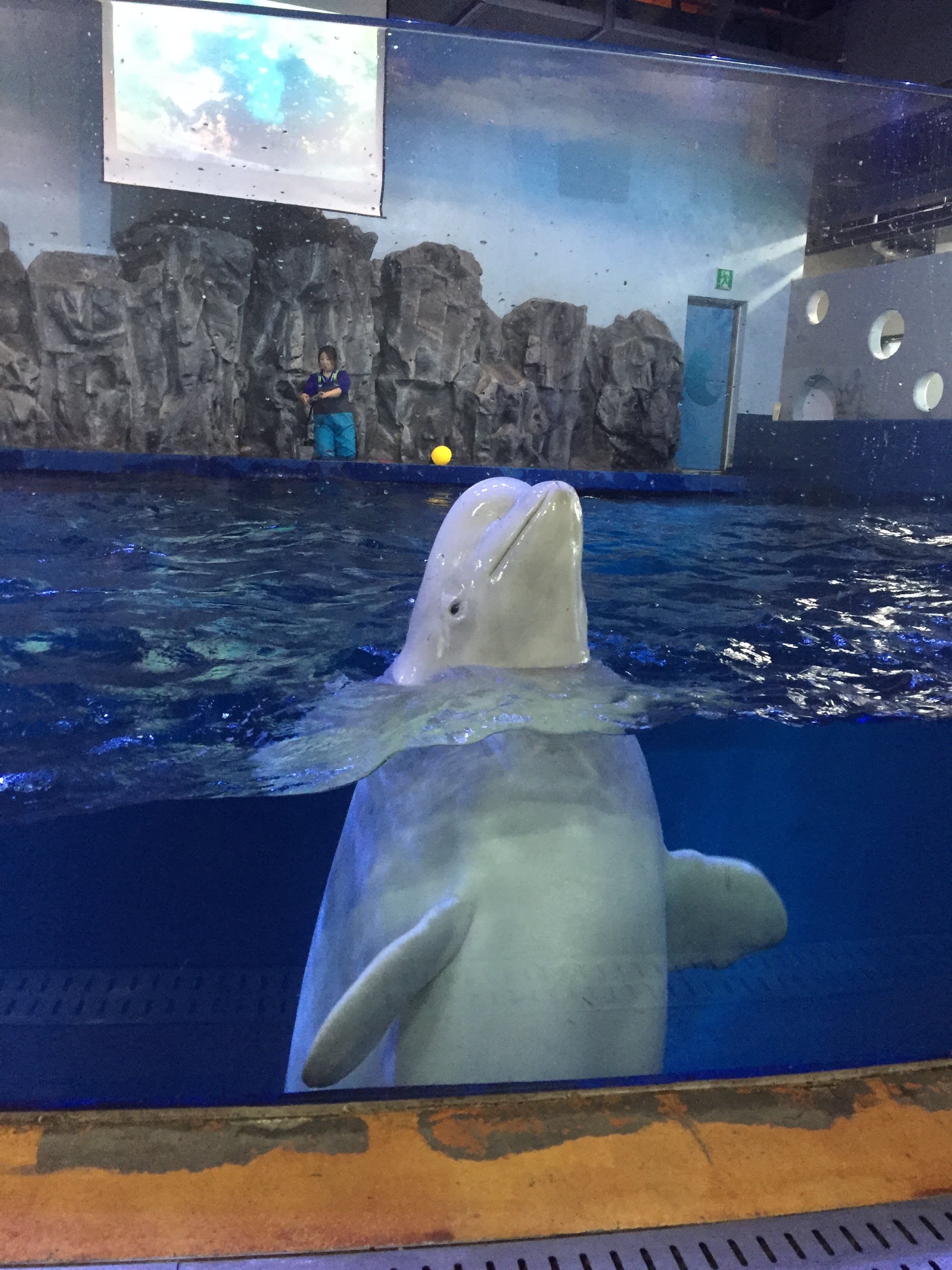 [麗水] アクアプラネット麗水