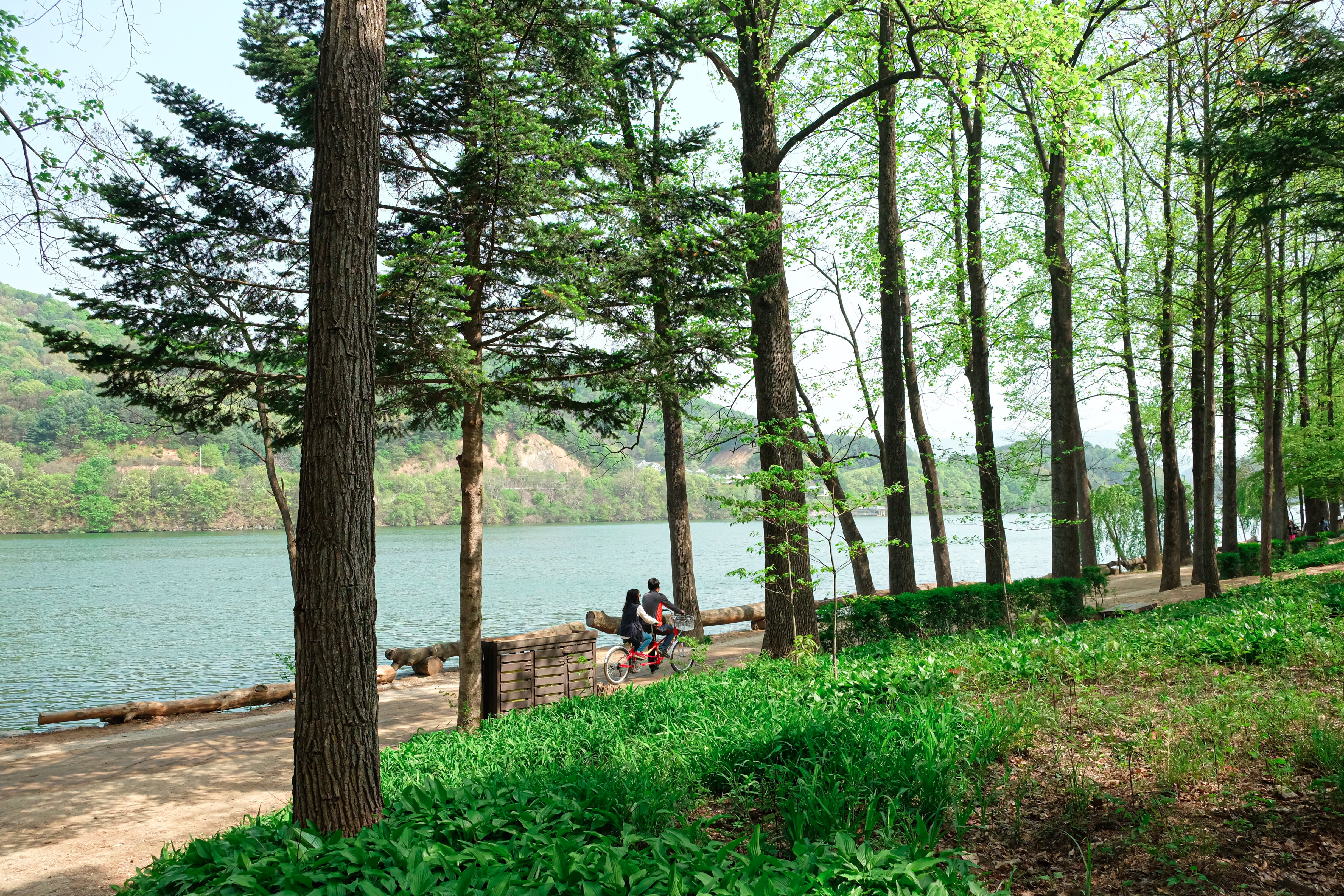 [Official] Seoul - Nami Island Round-trip Shuttle Bus