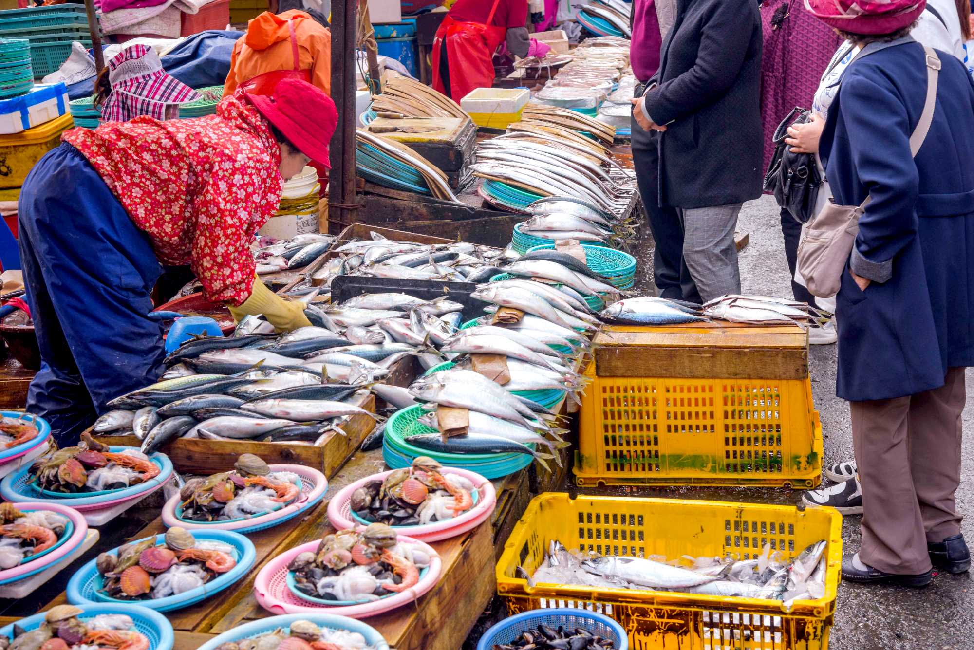 [Busan Local Favorites] Bamboo Forest, Coast & Local Life 1-Day Tour