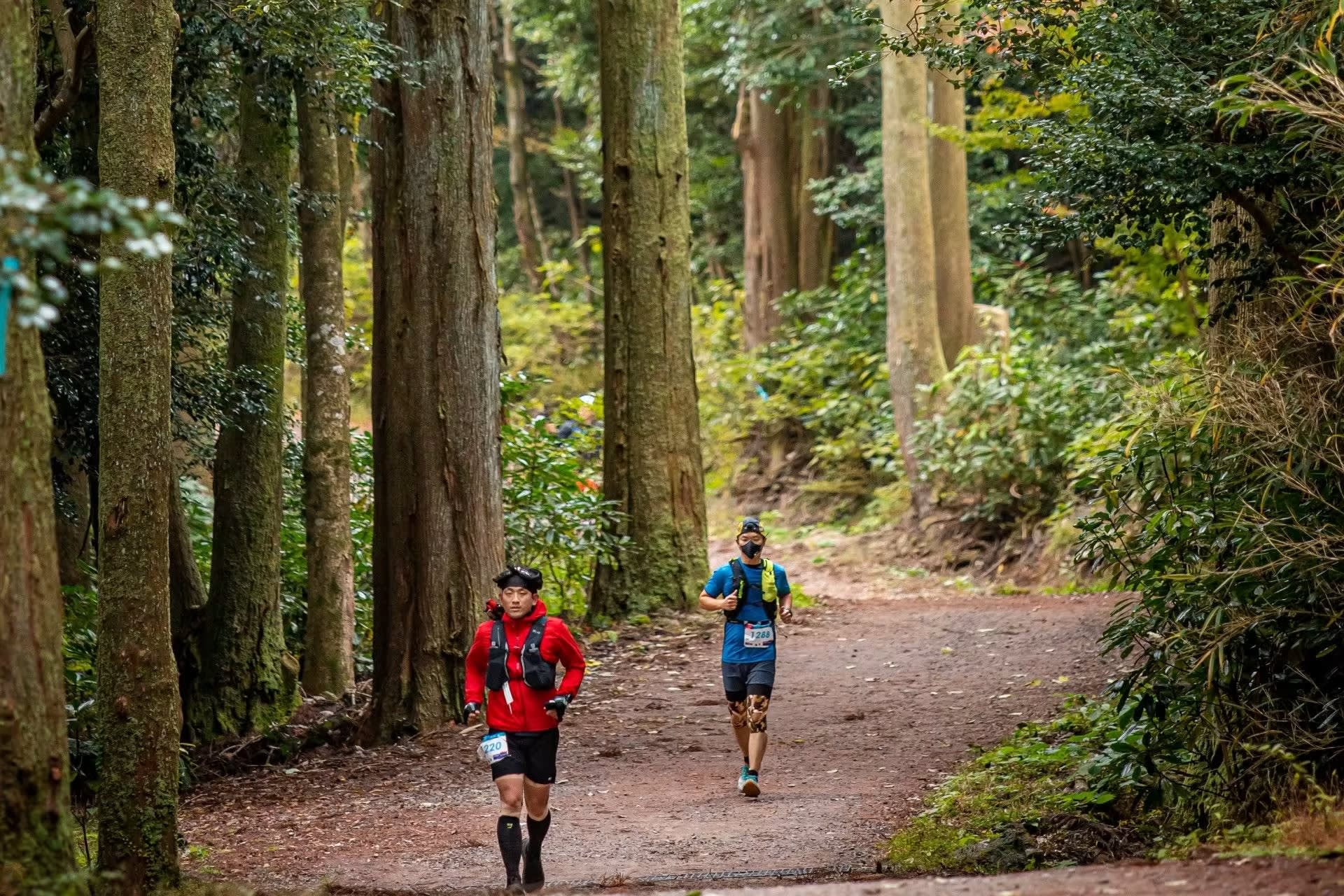 [Play & Stay] トレイルランニング - TransJeju by UTMB
