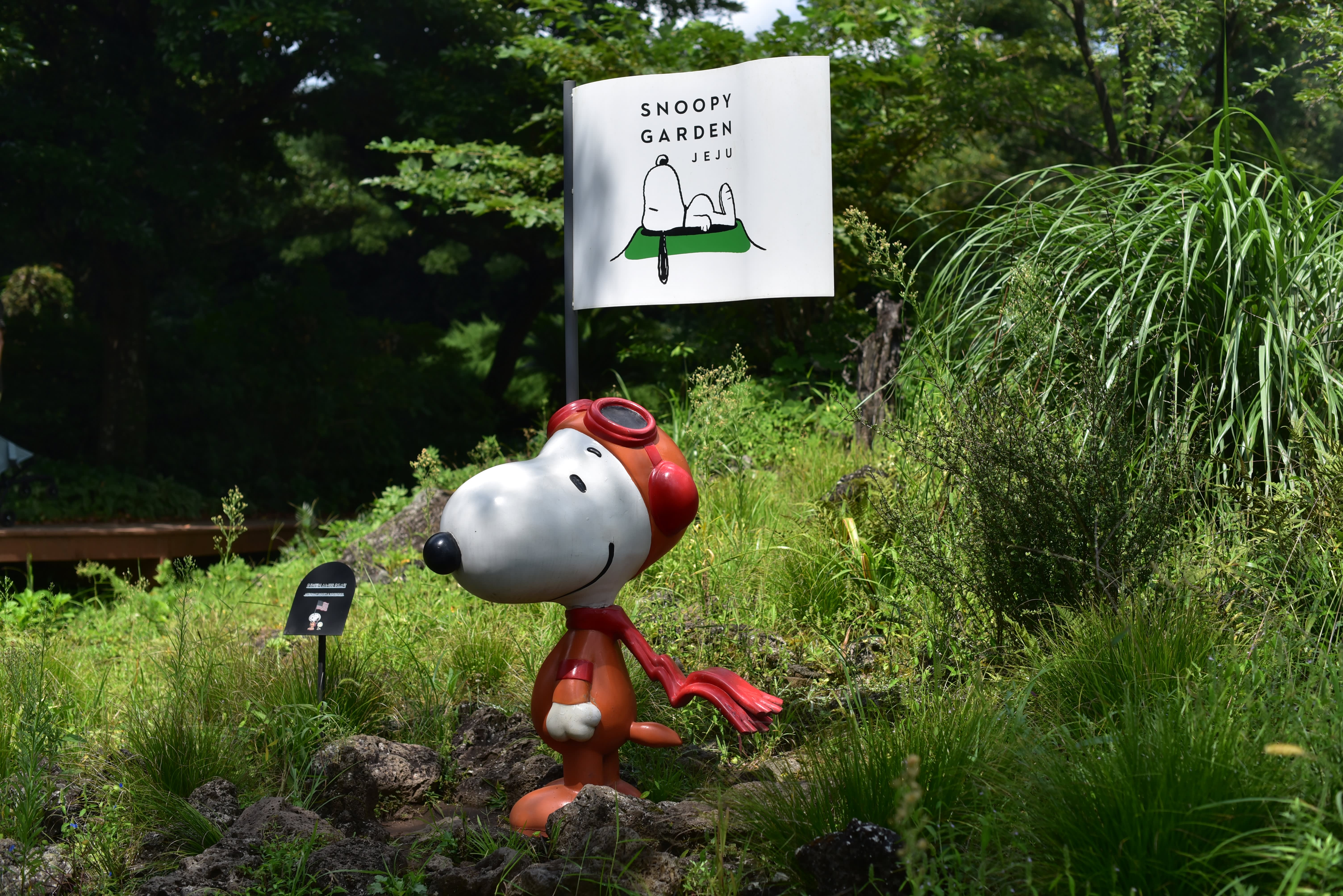 [济州] 史努比花园门票