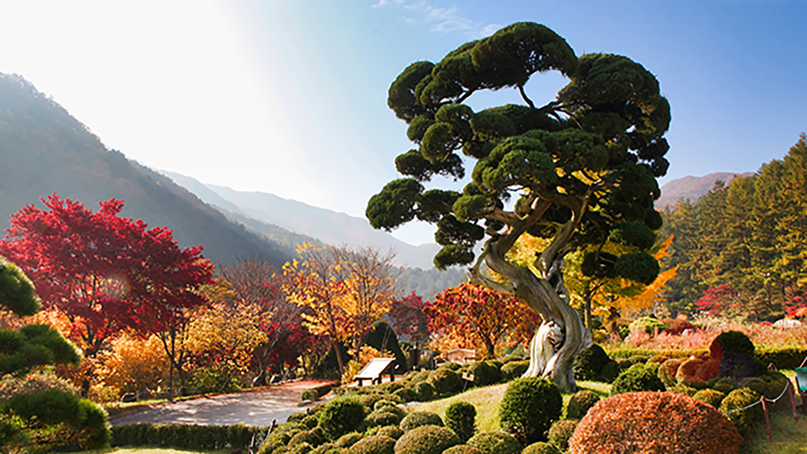 ソウルシティ·郊外カーチャートツアー