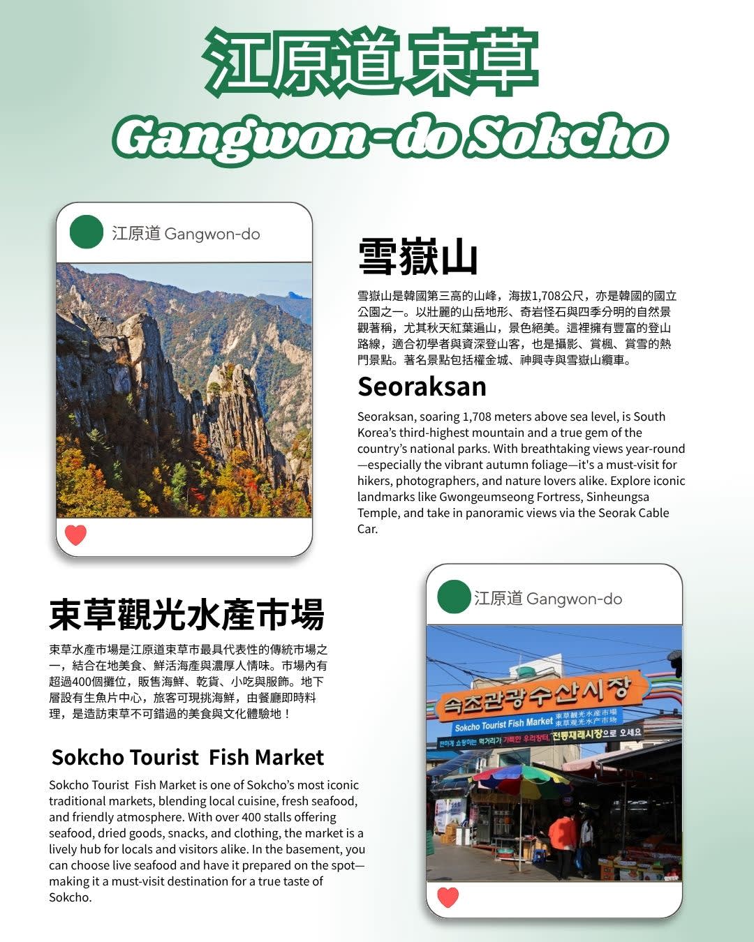 Gangwon-do Tourist Taxi | 3-Hour Private Charter Service in Gangneung, Chuncheon & Sokcho
