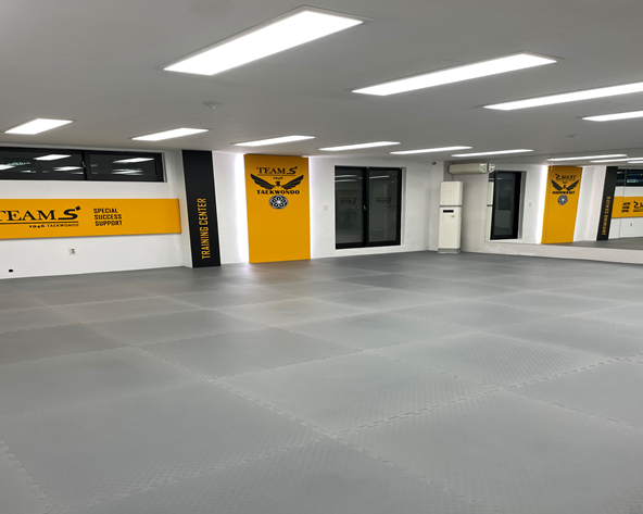 [ソウル] 江南で習う韓国伝統テコンドーのワンデークラス